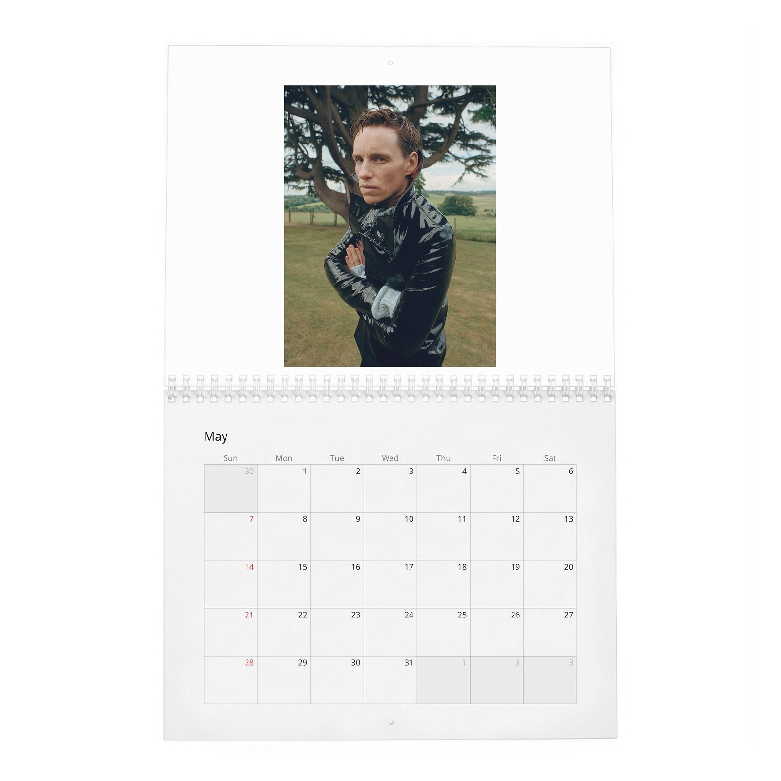 05 Eddie Redmayne - English Class 2027 Wall Calendar