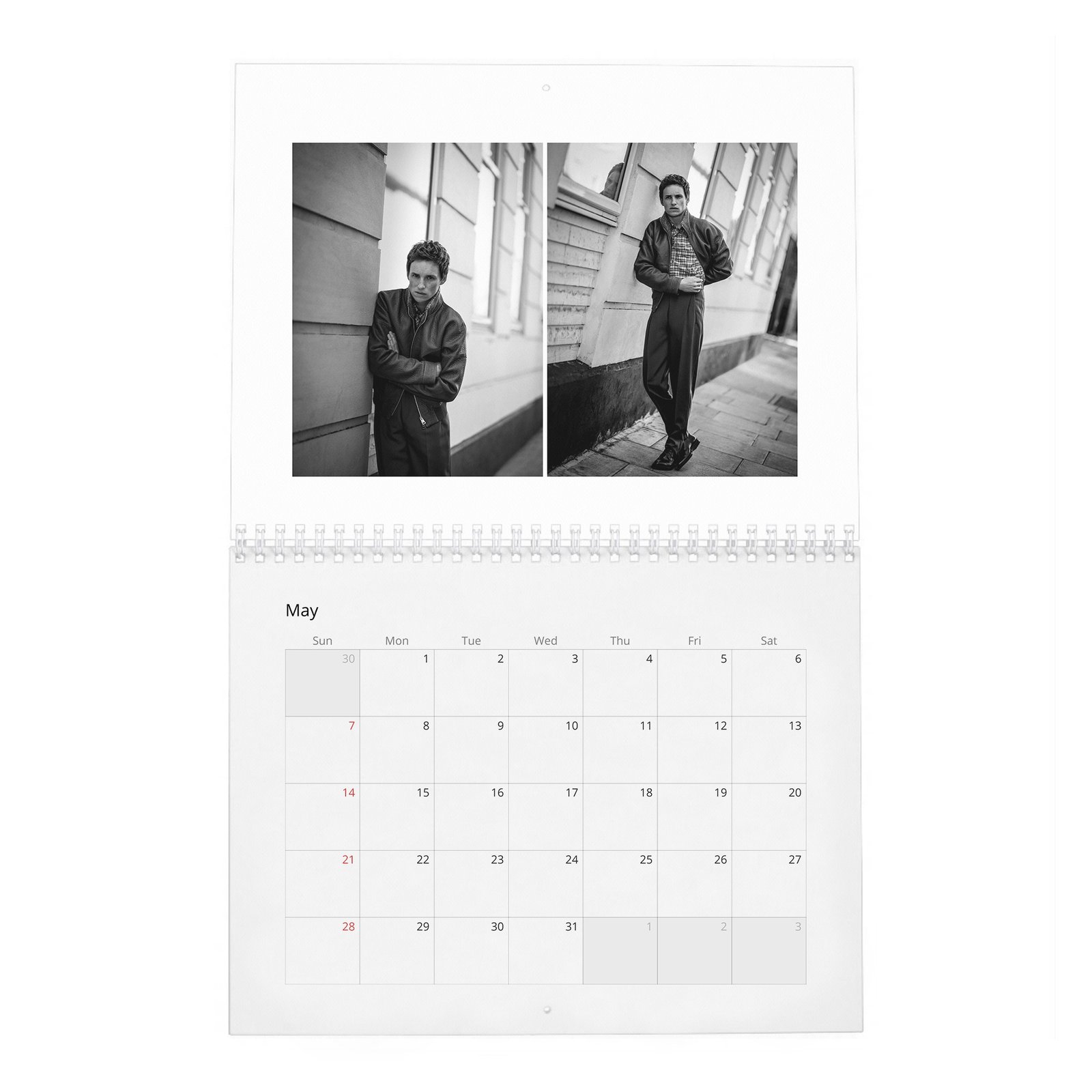 Eddie Redmayne - In Theory It Has Everything 2027 Wall Calendar