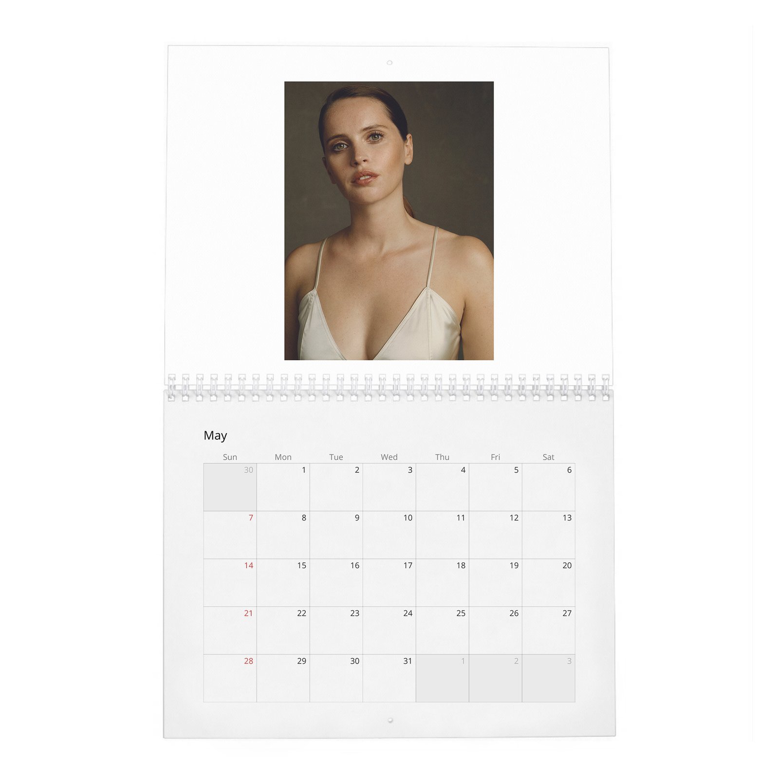 Felicity Jones - Rebel With A Cause 2027 Wall Calendar