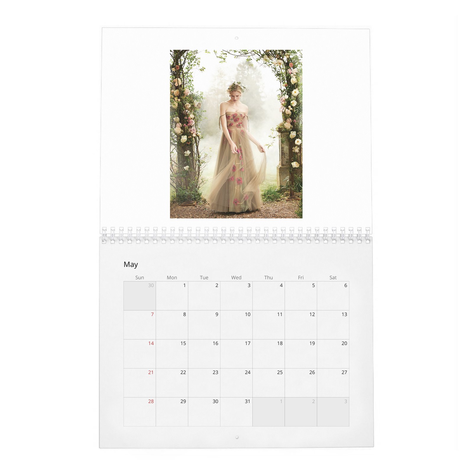 Gabriella Wilde - In Fine Feather 2027 Wall Calendar