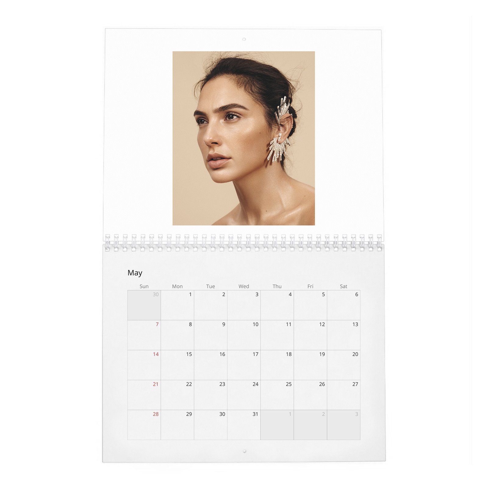 05 Gal Gadot - Real-Life Heroine 2027 Wall Calendar
