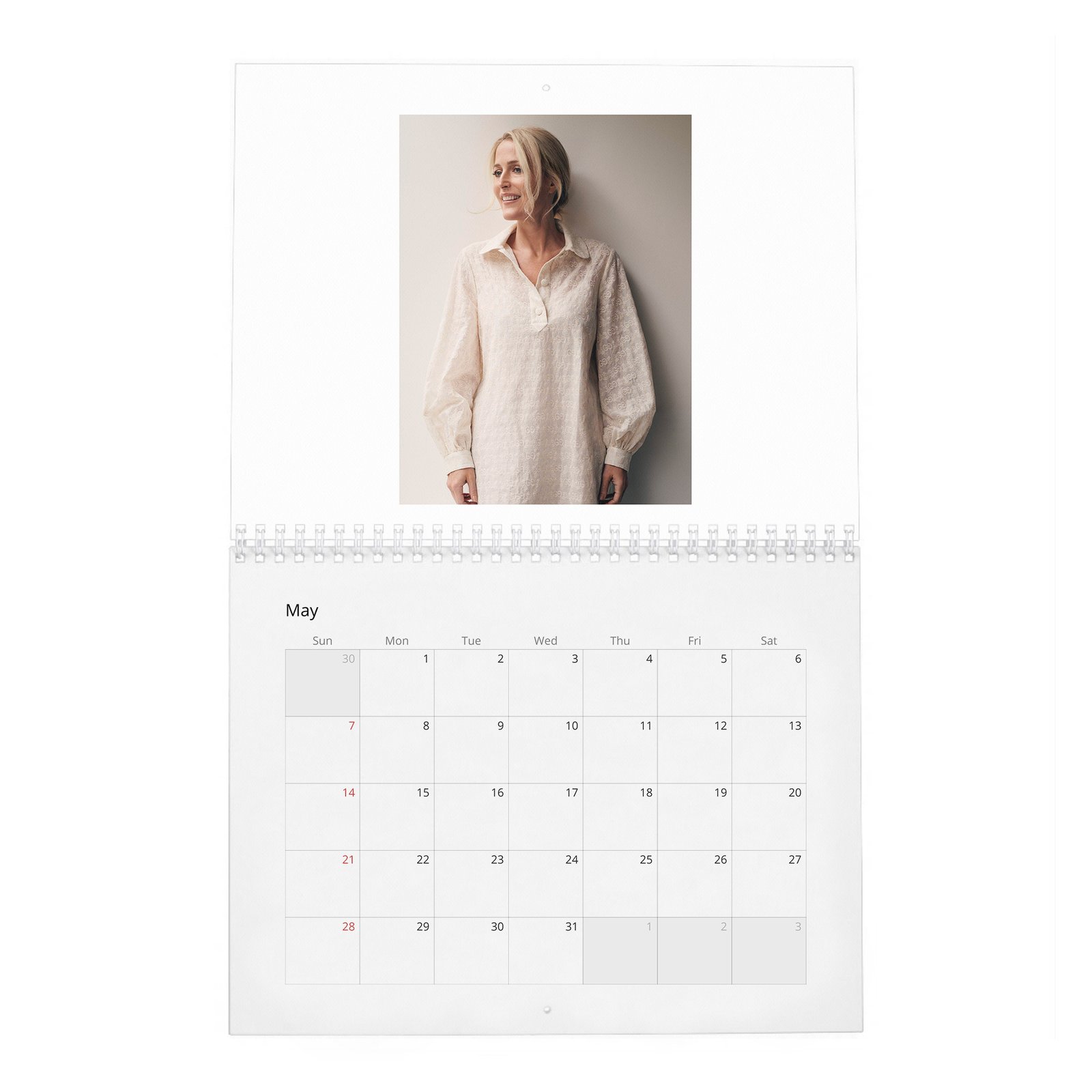 05 Gillian Anderson - Prime Time 2027 Wall Calendar
