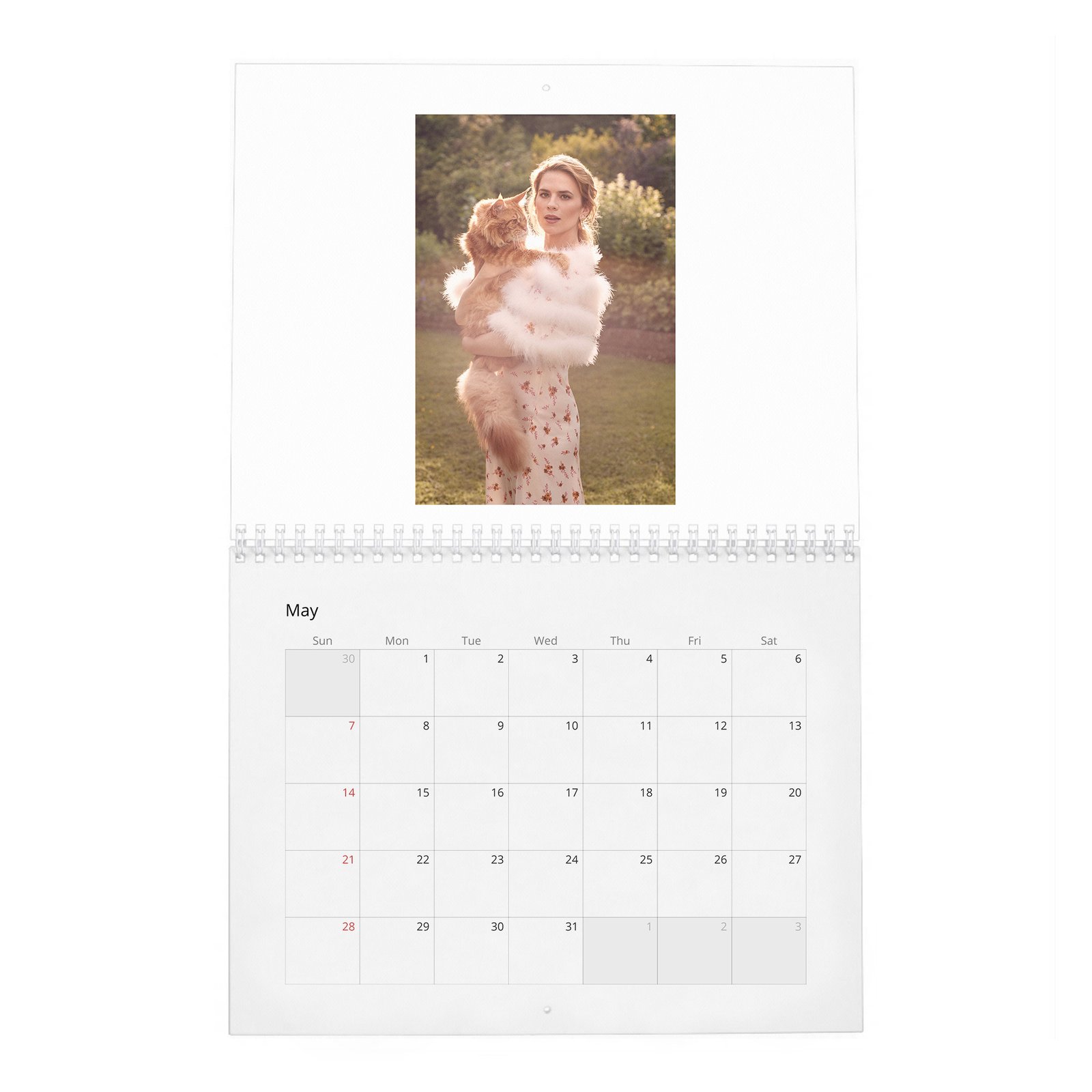 05 Hayley Atwell - Inside The Hundred Acre Wood 2027 Wall Calendar
