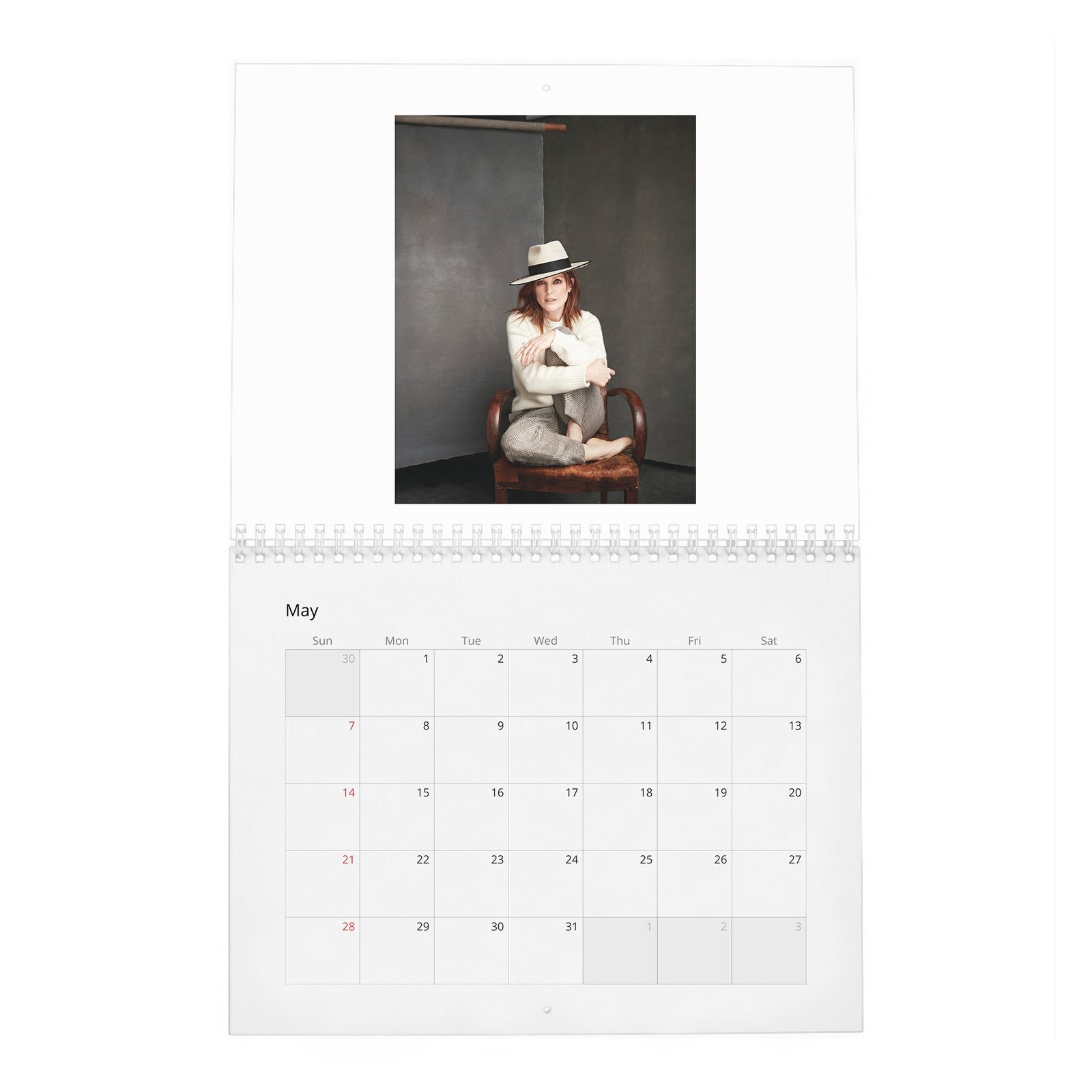 05 Julianne Moore - A Singular Woman 2027 Wall Calendar