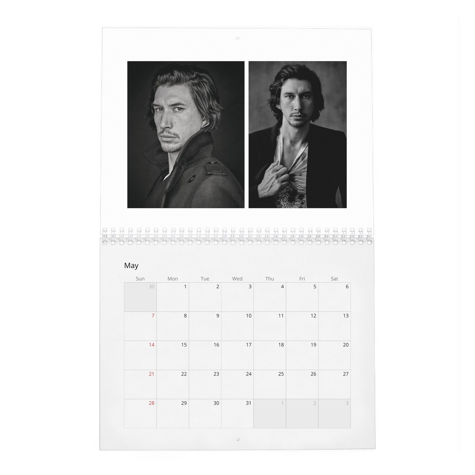 Adam Driver - The Millenial Darth Vader 2027 Wall Calendar