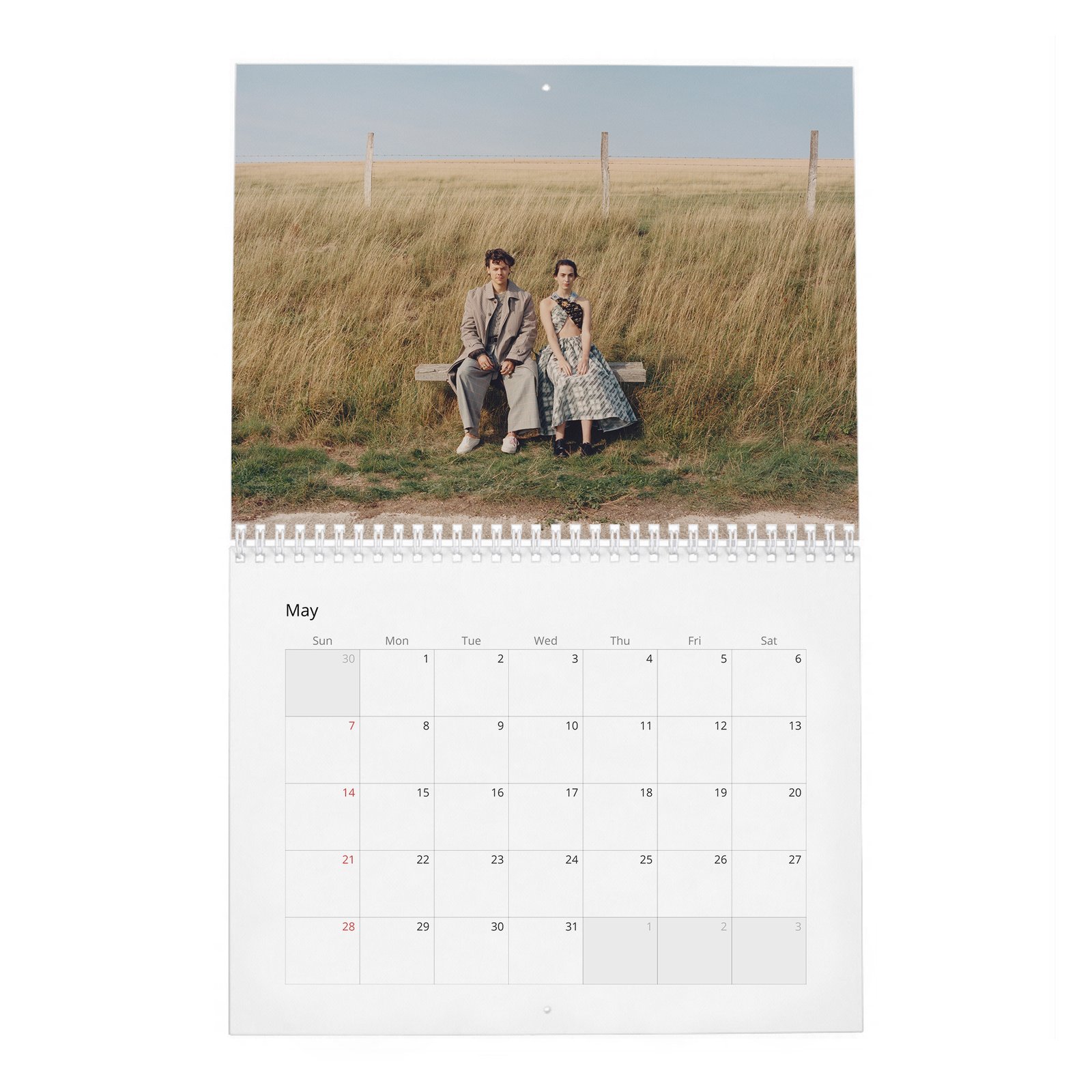 05 Harry Styles - Playtime 2027 Wall Calendar