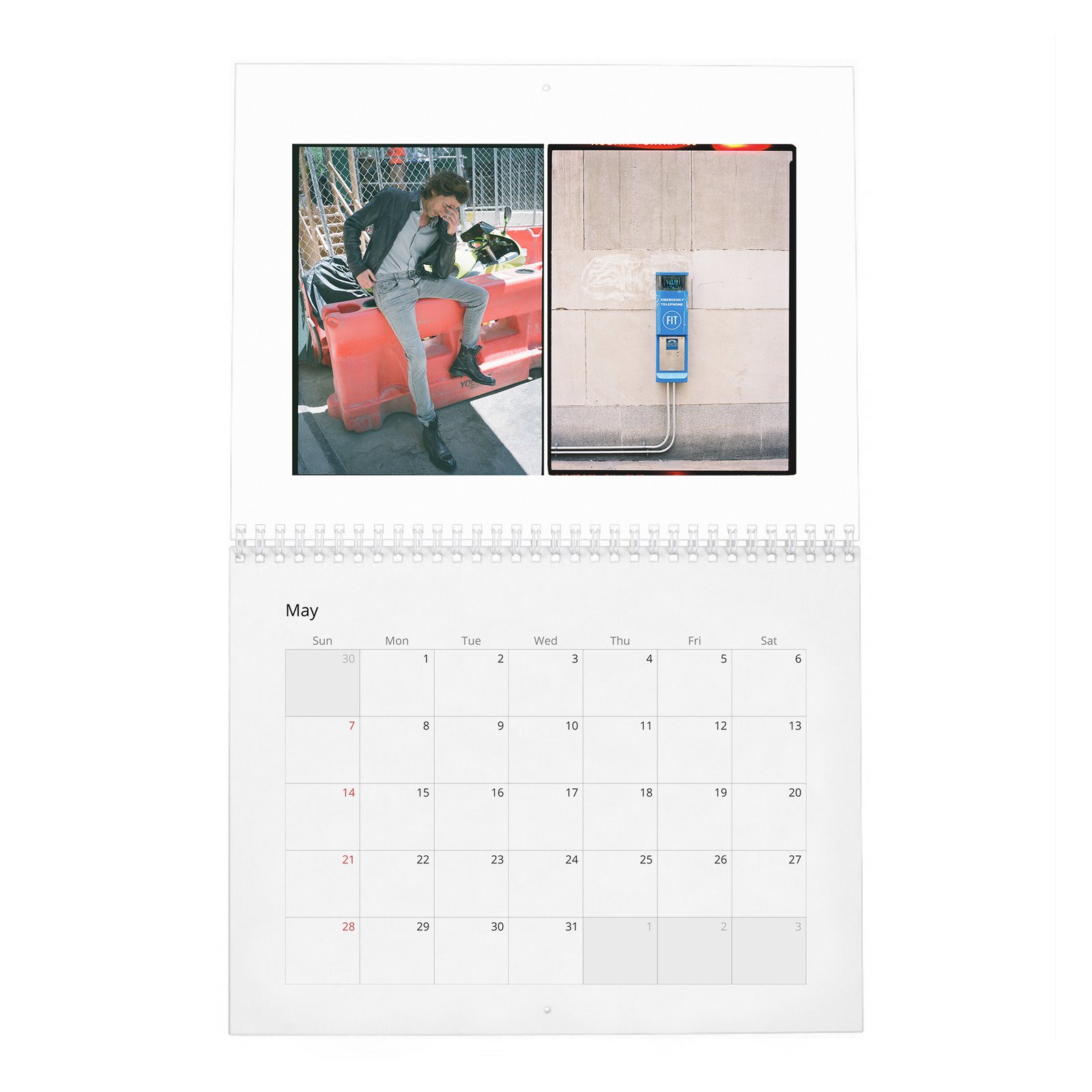 05 Adrien Brody - The Amazing Adrian 2027 Wall Calendar