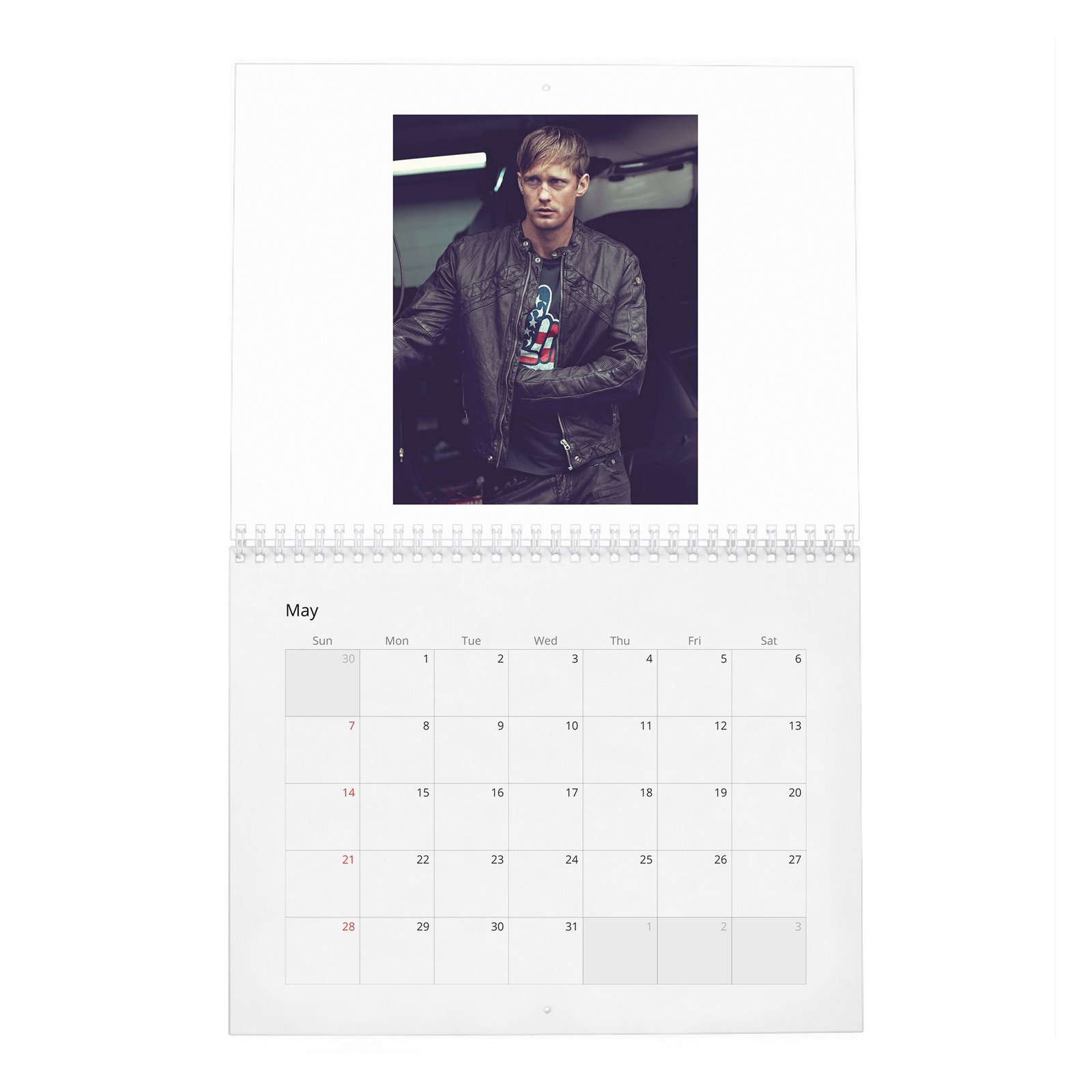 05 Alexander Skarsgard - Knockout At Fortune Gym 2027 Wall Calendar