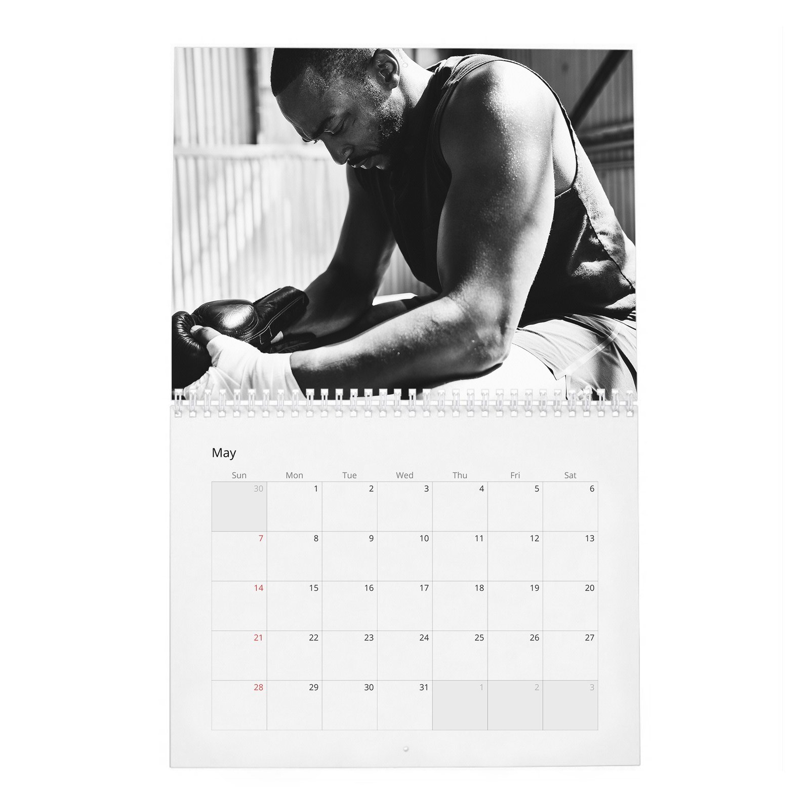 05 Anthony Mackie - Your New Captain 2027 Wall Calendar