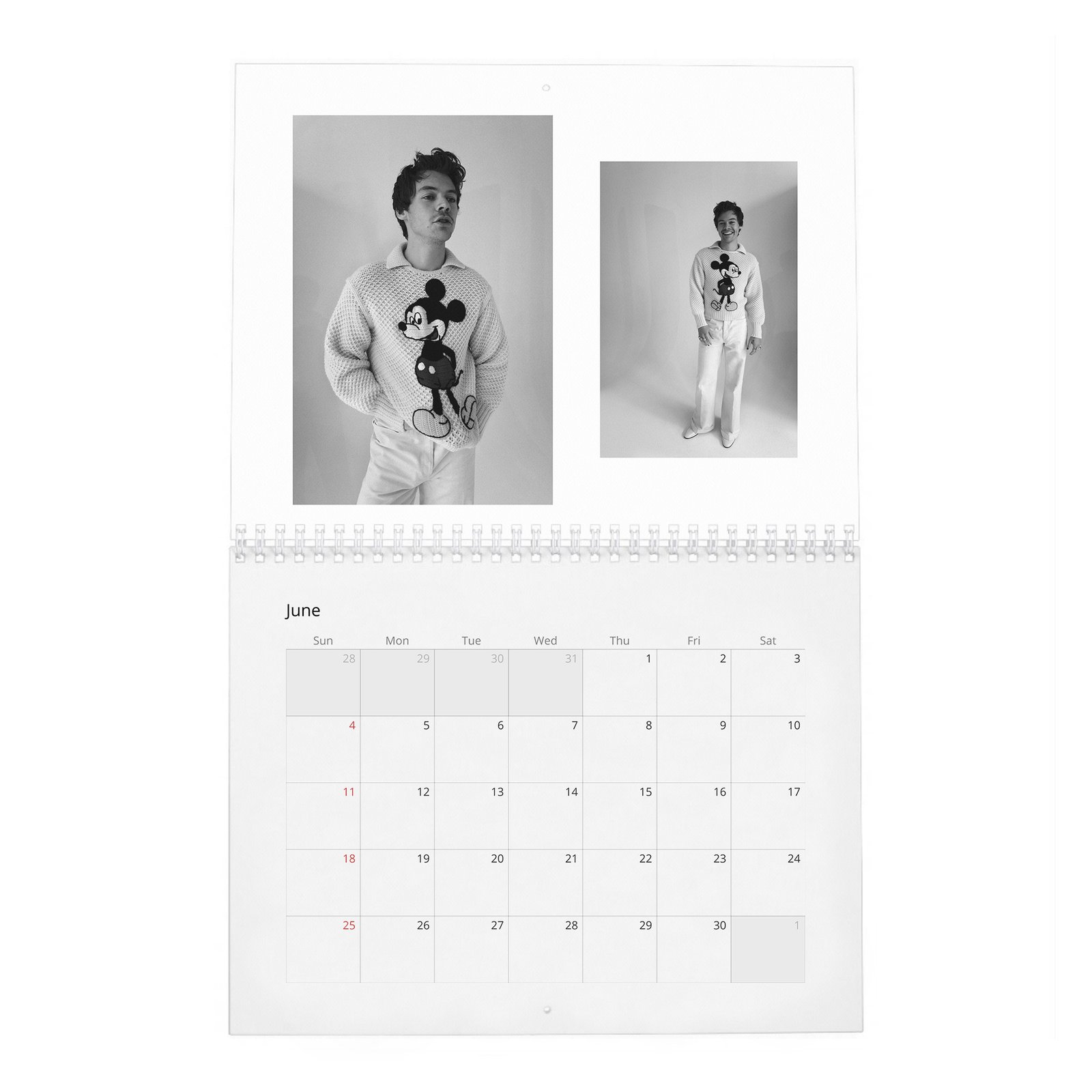 06 Harry Styles - House of Styles 2027 Wall Calendar