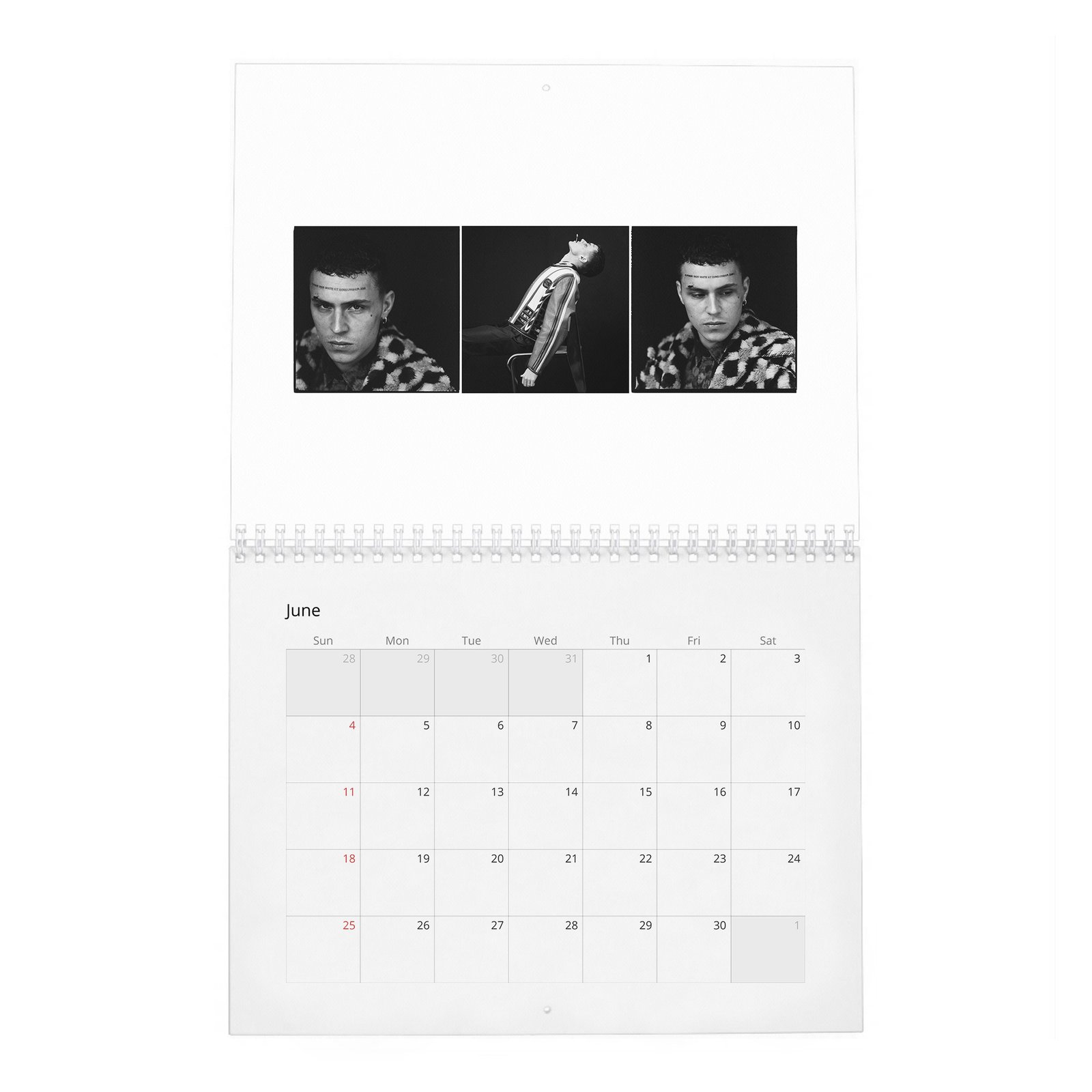 06 Aron Piper - In Conversation 2027 Wall Calendar
