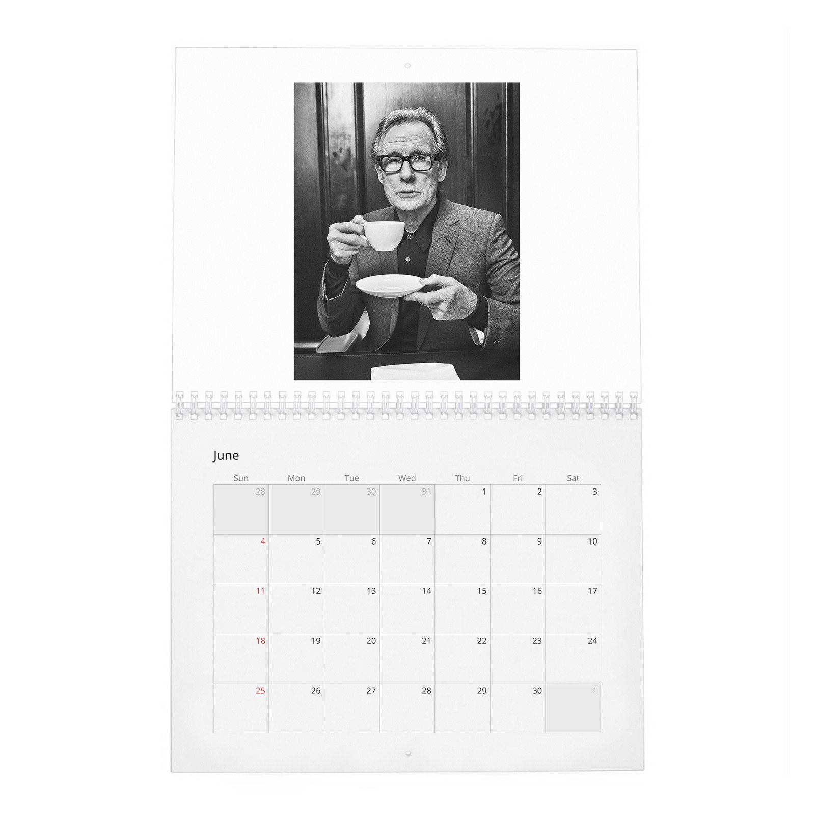 06 Bill Nighy - An Audience With 2027 Wall Calendar