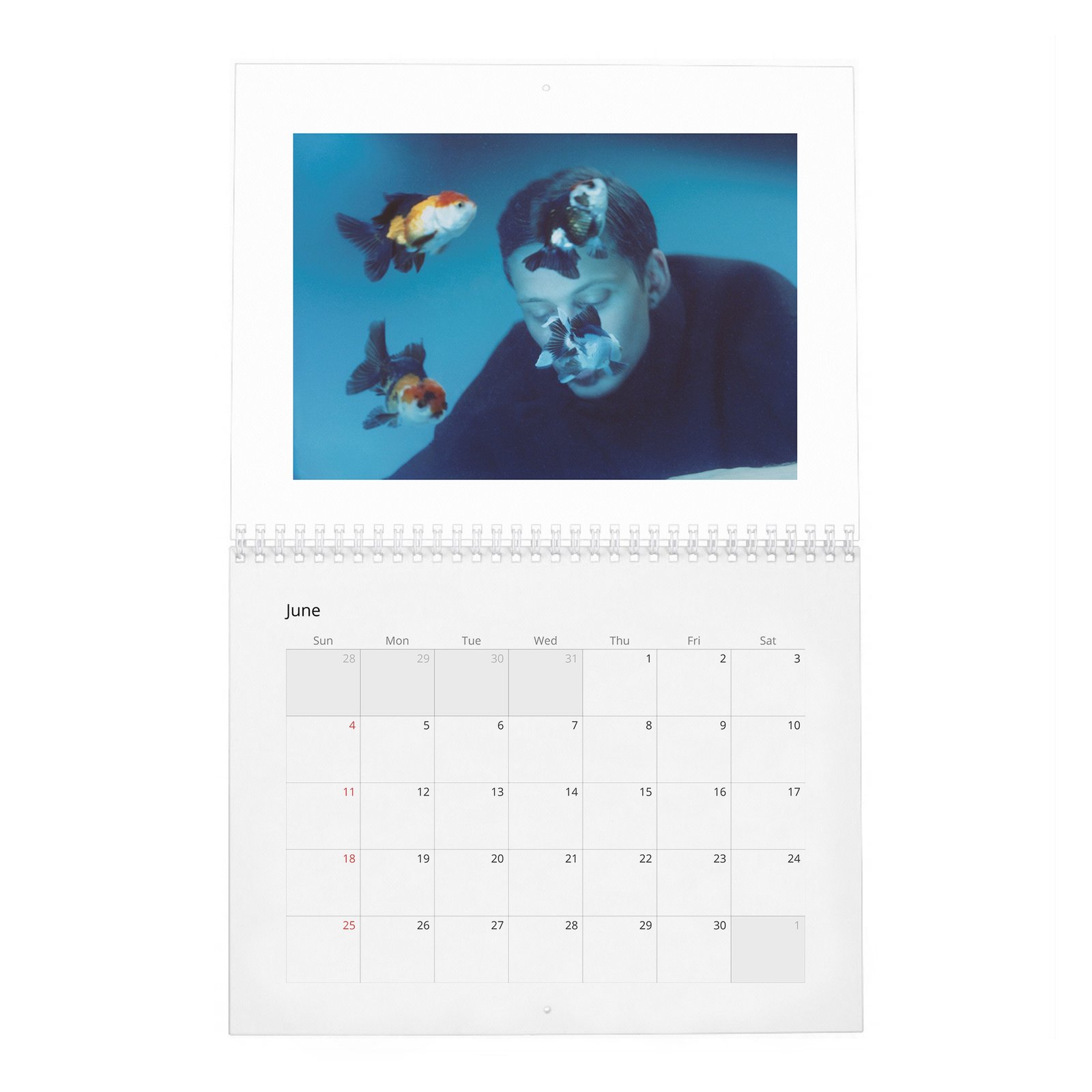 06 Bill Skarsgard - Another 2027 Wall Calendar