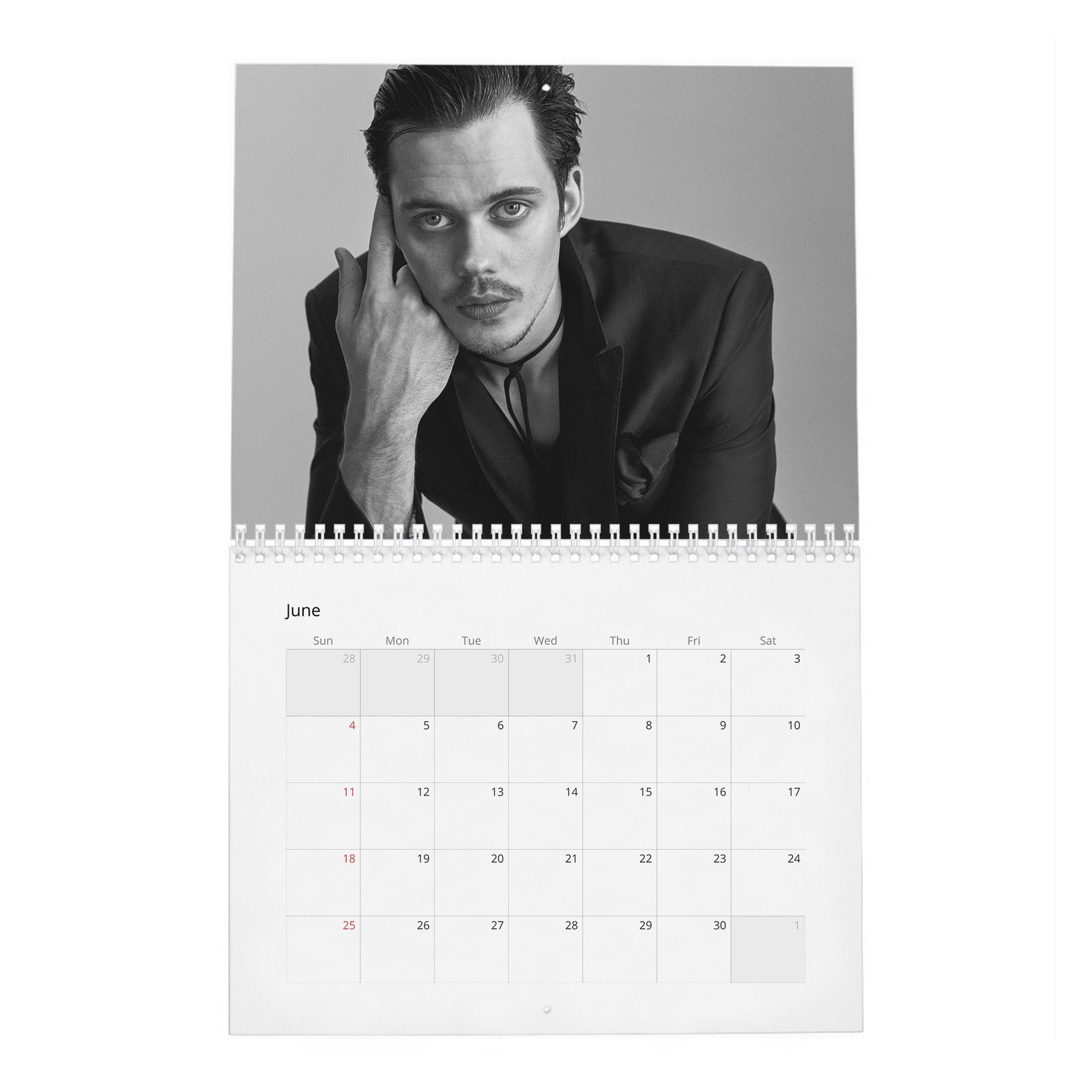 Bill Skarsgard - Hollywood’s Current “It” Boy 2027 Wall Calendar