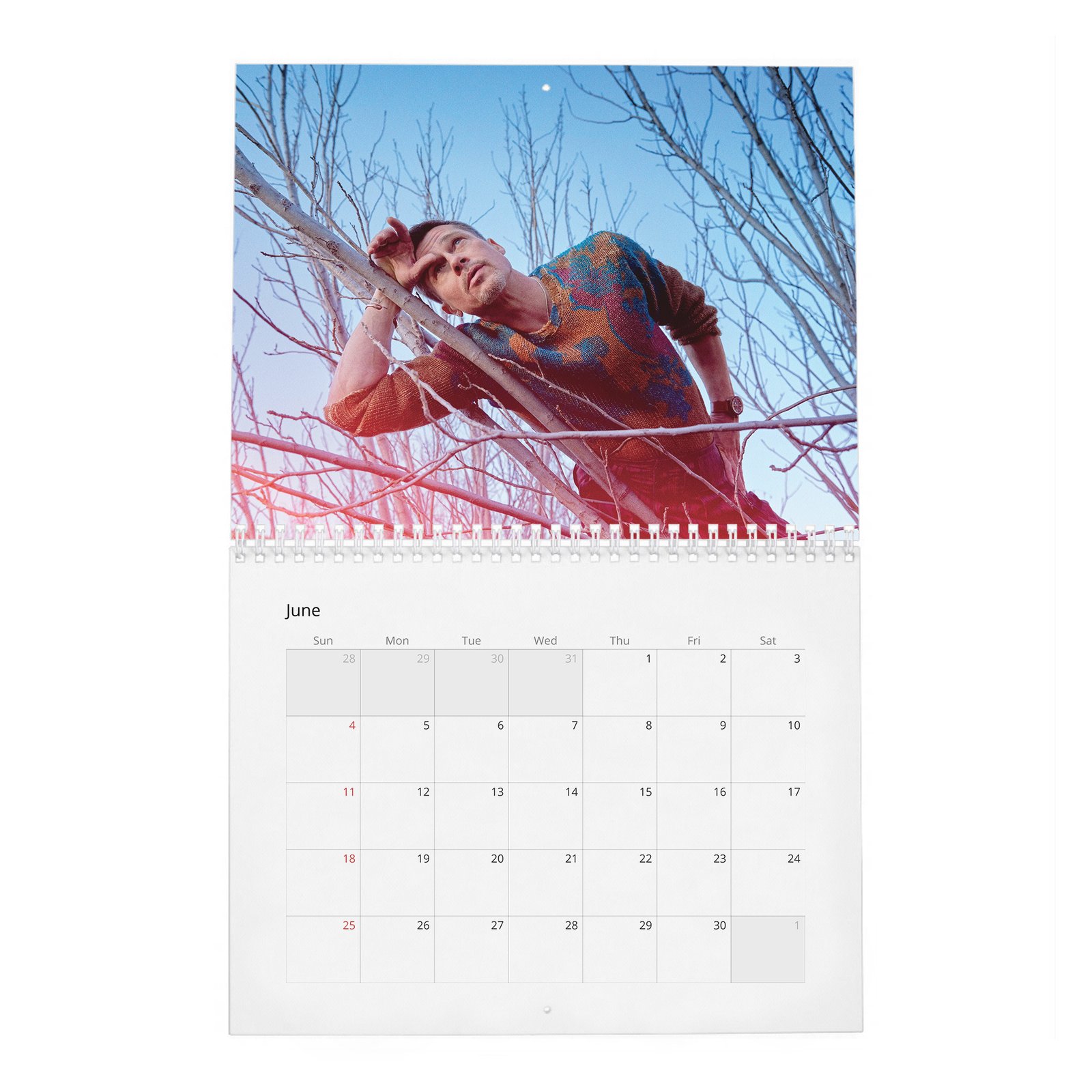 06 Brad Pitt - Becoming A Better Man 2027 Wall Calendar