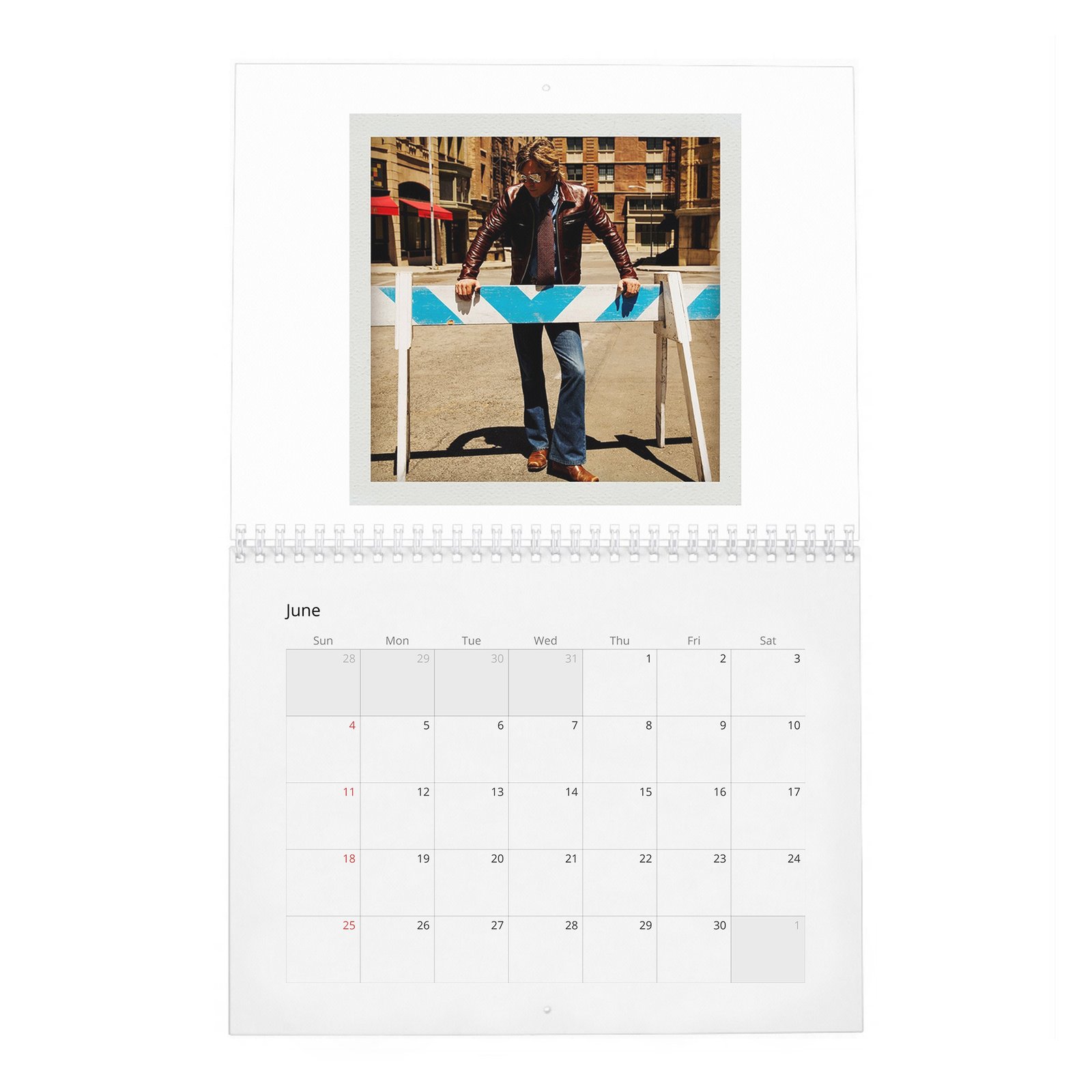Brad Pitt - Born To Be Brad 2027 Wall Calendar
