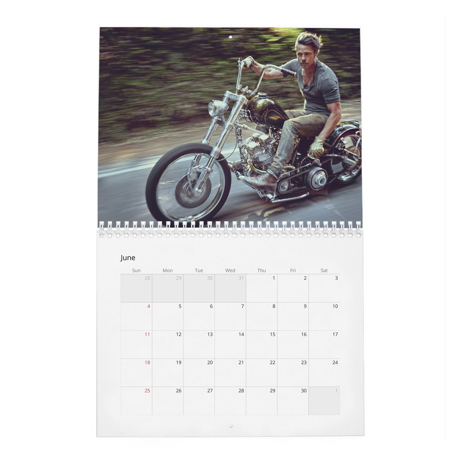 06 Brad Pitt - Forest Soul 2027 Wall Calendar