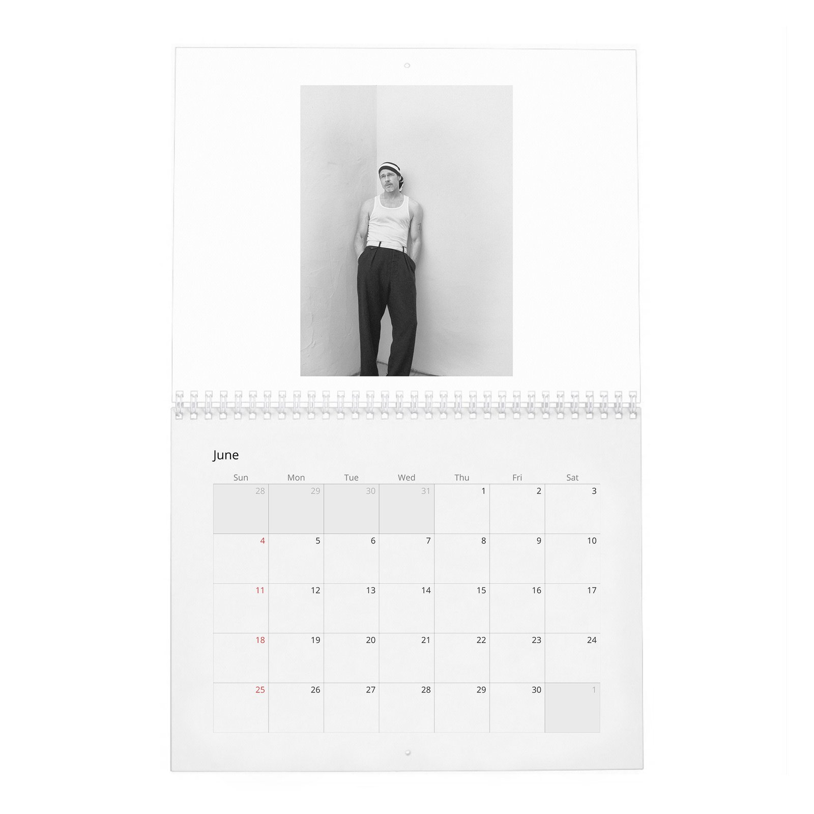 06 Brad Pitt - The Eternal Cool 2027 Wall Calendar