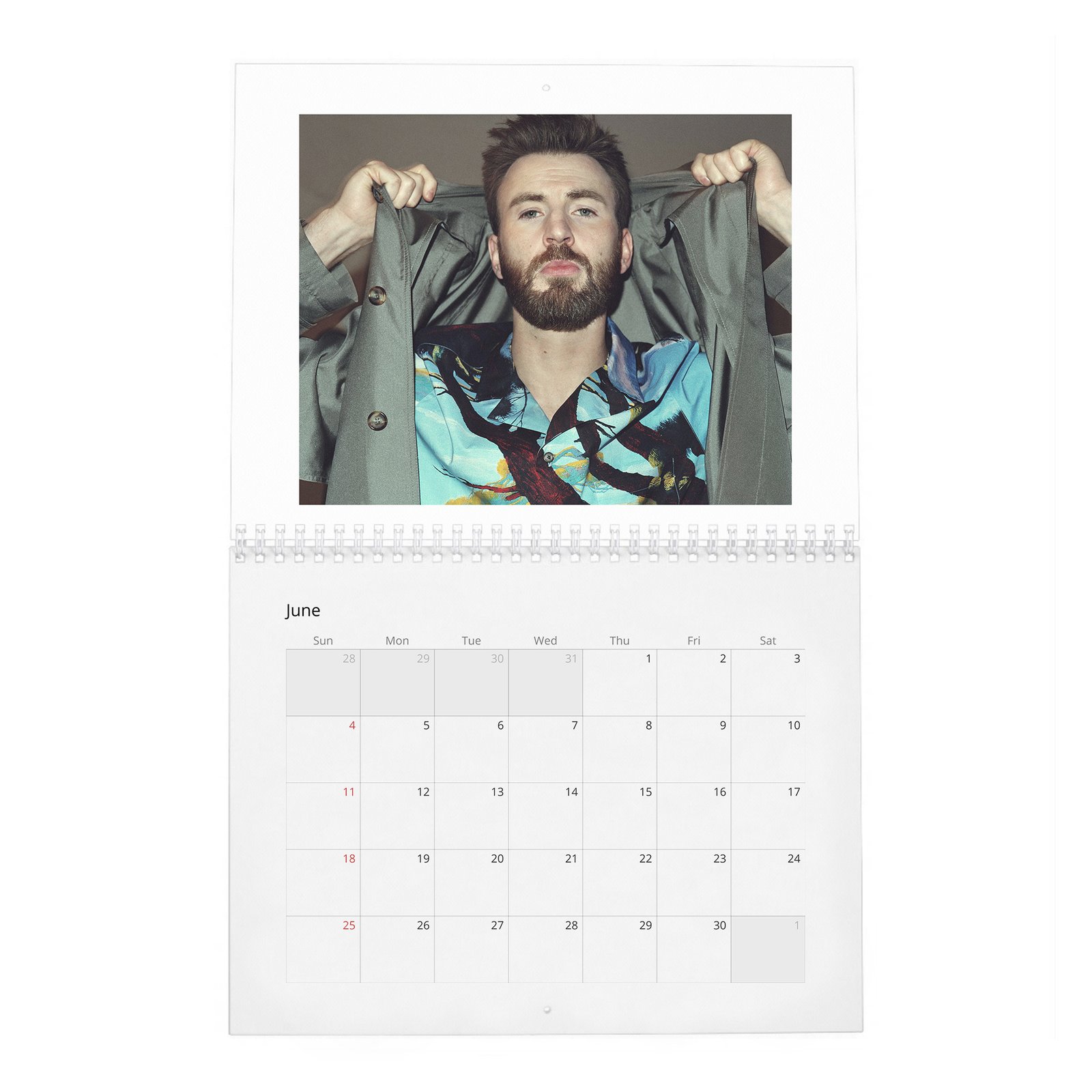 06 Chris Evans - Doesn't Like To Talk About Himself 2027 Wall Calendar