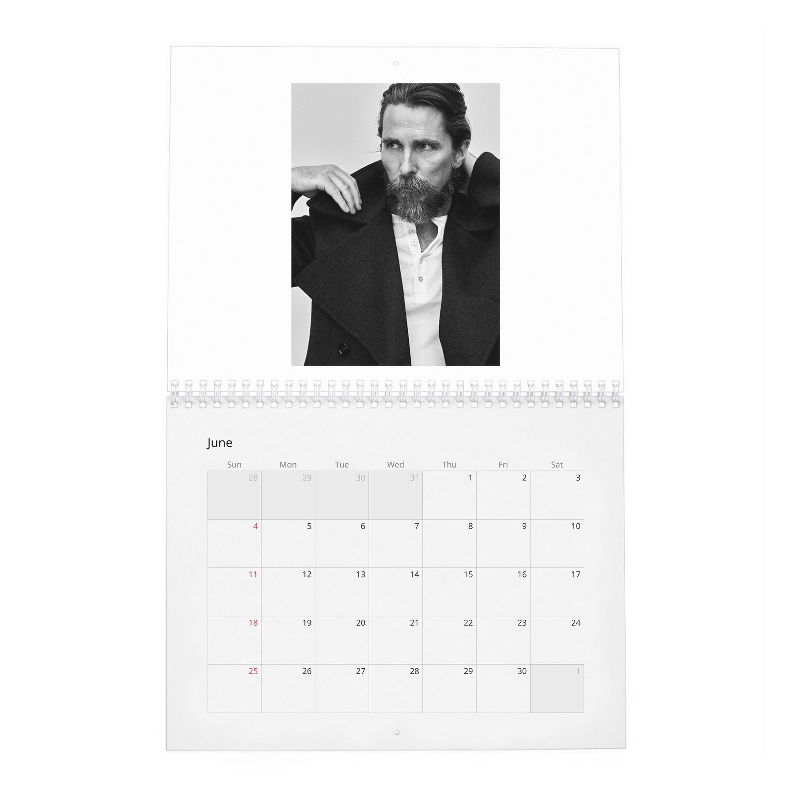 Christian Bale - Hollywood's Reluctant King 2027 Wall Calendar