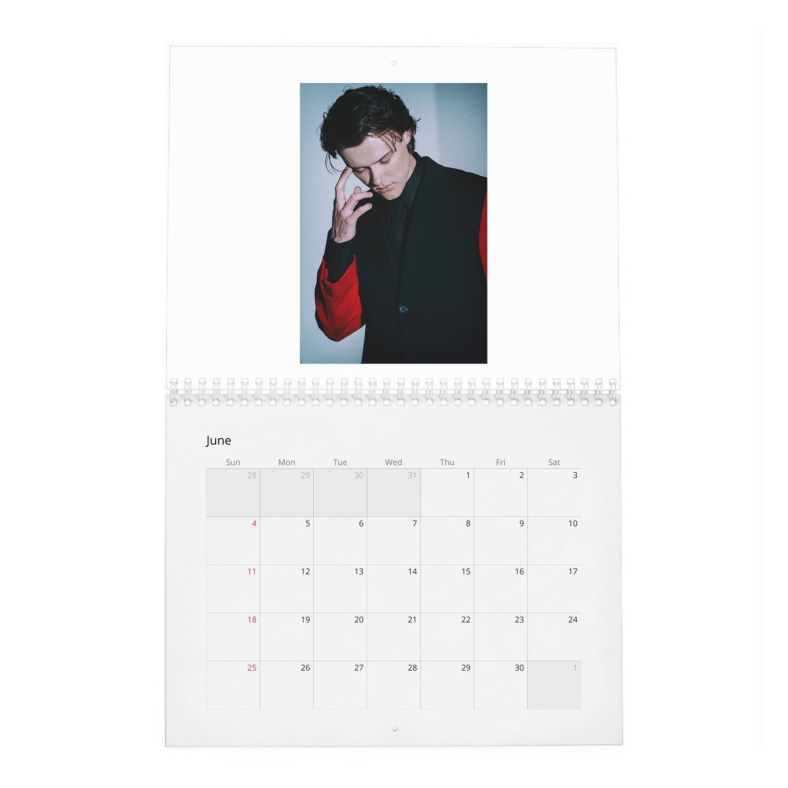 Christopher Briney - New Star 2027 Wall Calendar