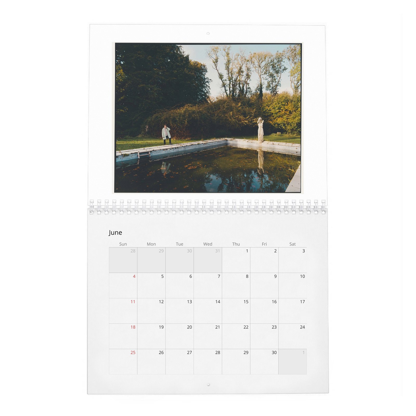 06 Cillian Murphy - Field Of His Own 2027 Wall Calendar