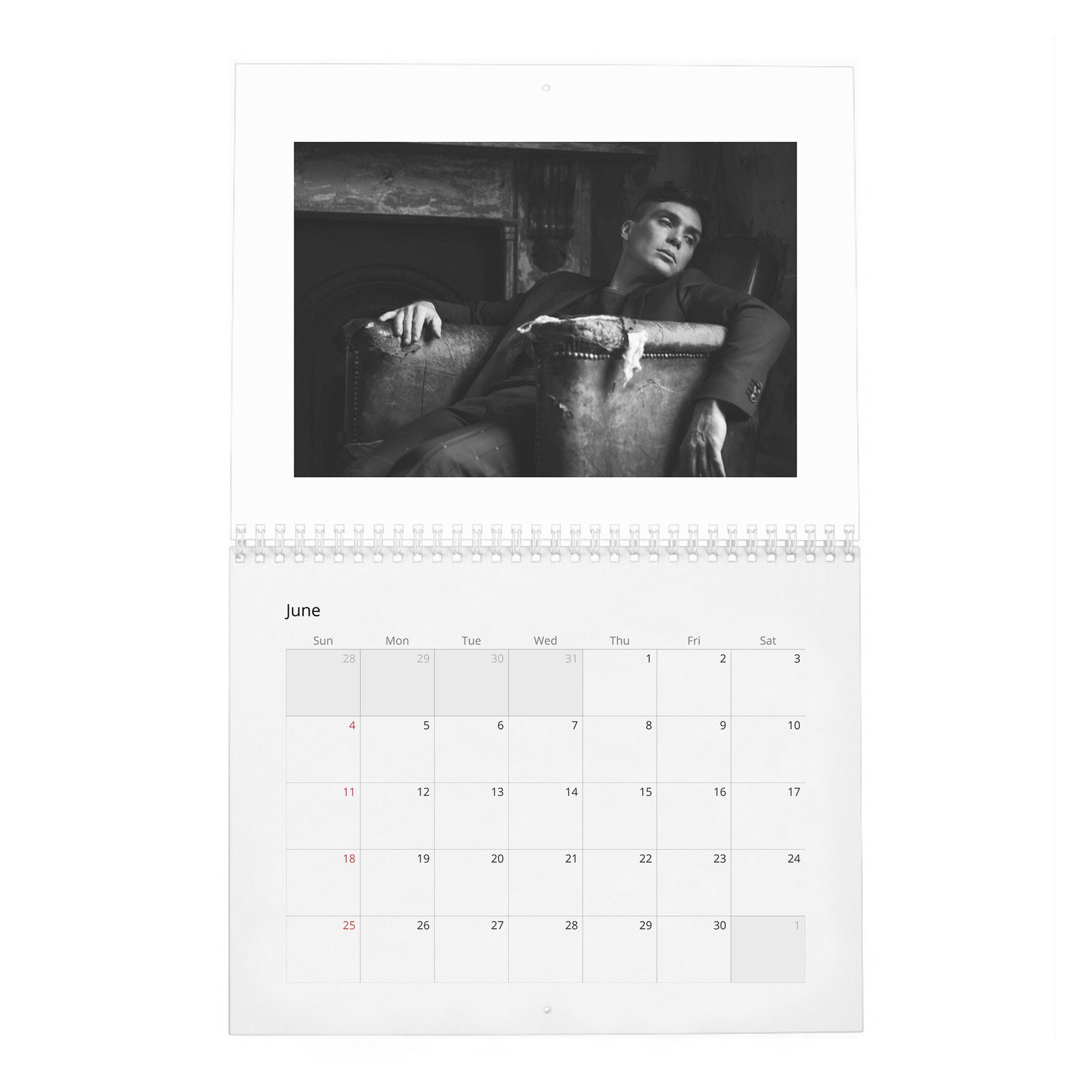06 Cillian Murphy - So It Goes 2027 Wall Calendar