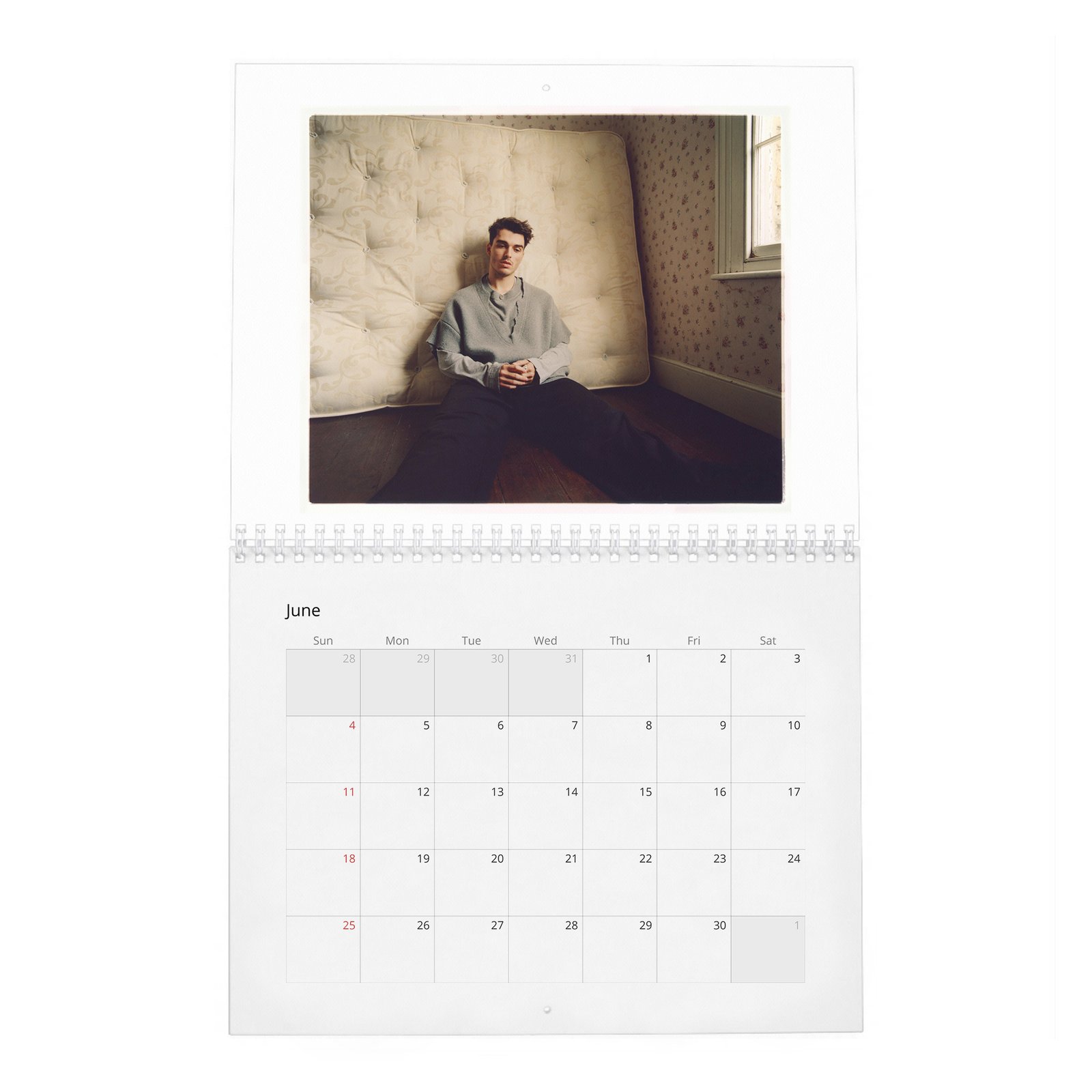 Corey Mylchreest - Leading Man 2027 Wall Calendar