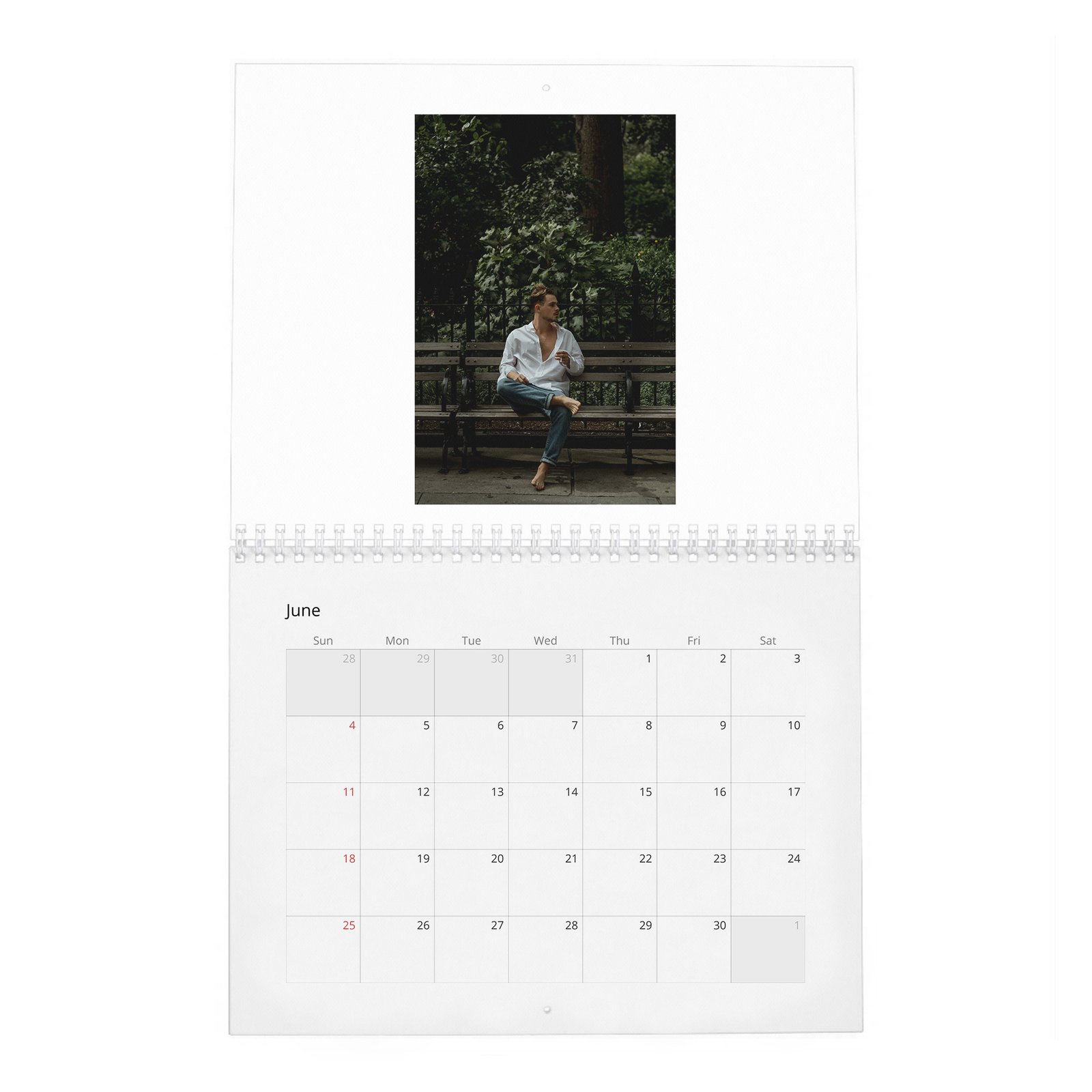 06 Dacre Montgomery - In Pursuit Of Curiosity 2027 Wall Calendar