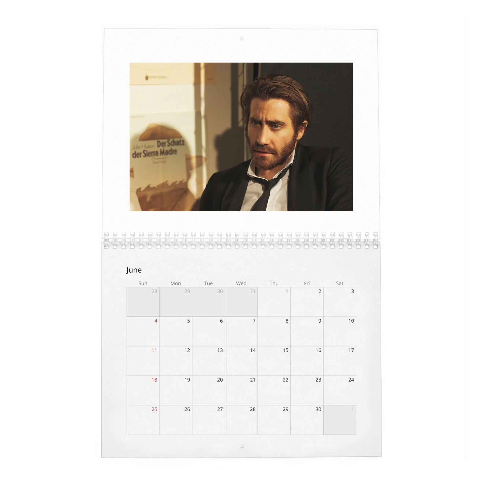 06 Jake Gyllenhaal - Man Of The World 2027 Wall Calendar