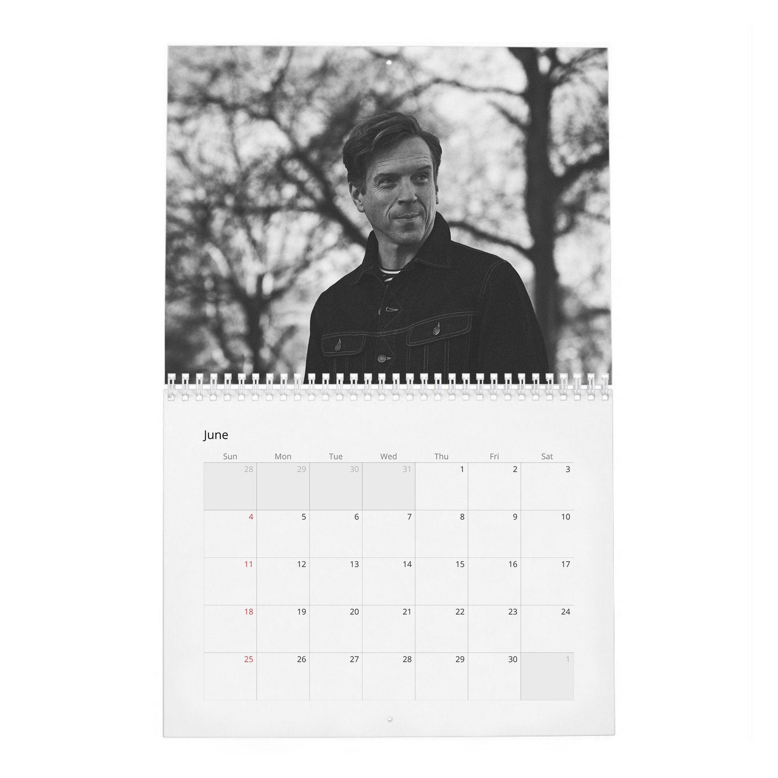 06 Damian Lewis - The King Of The Box Set 2027 Wall Calendar