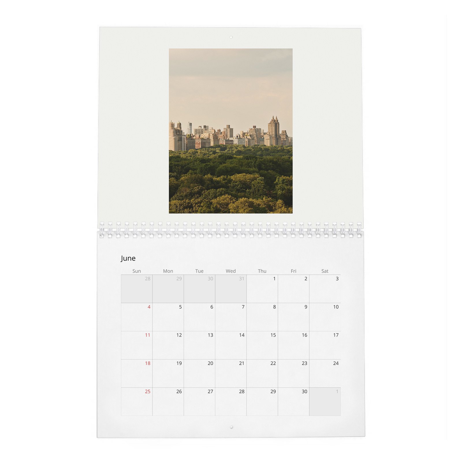 06 Daniel Bruhl - World Star Like Us 2027 Wall Calendar