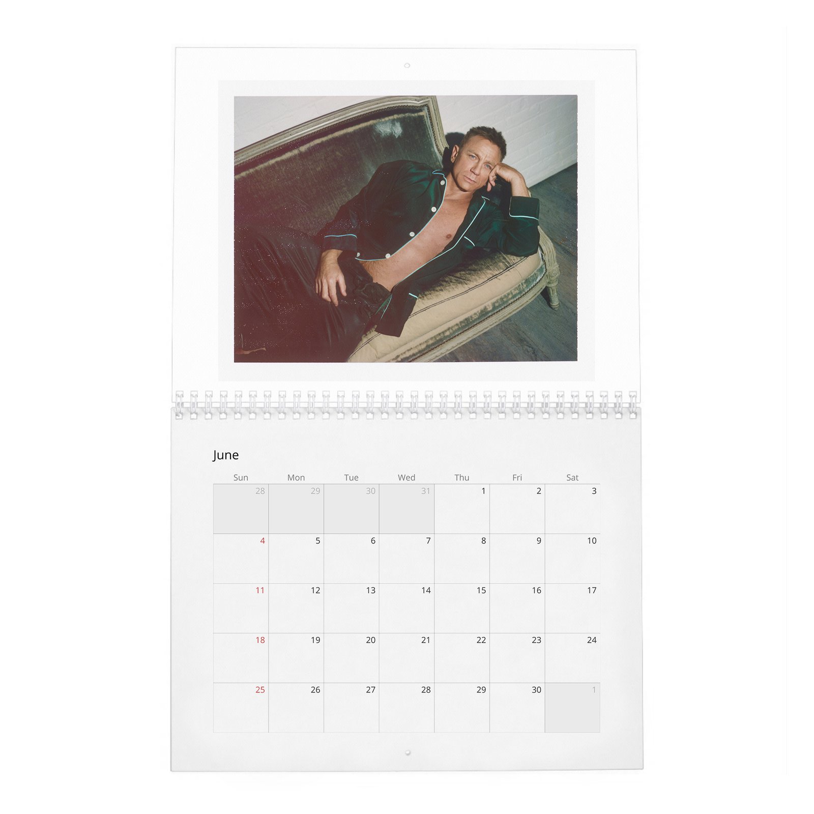 06 Daniel Craig - Heart Of An Assassin 2027 Wall Calendar