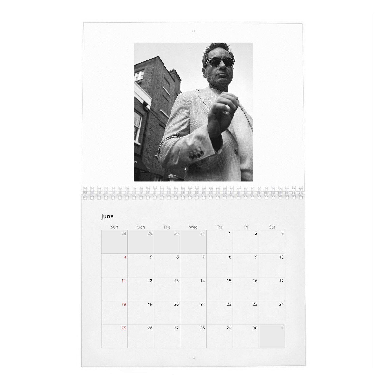 David Duchovny - Weekend In The Life 2027 Wall Calendar