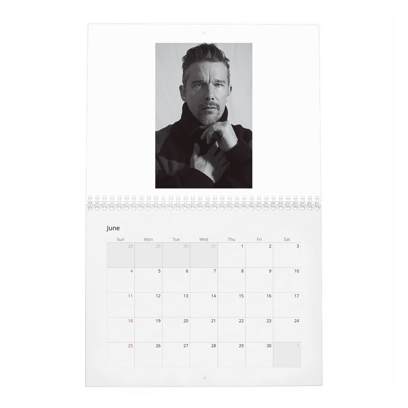 06 Ethan Hawke - Always In Style 2027 Wall Calendar