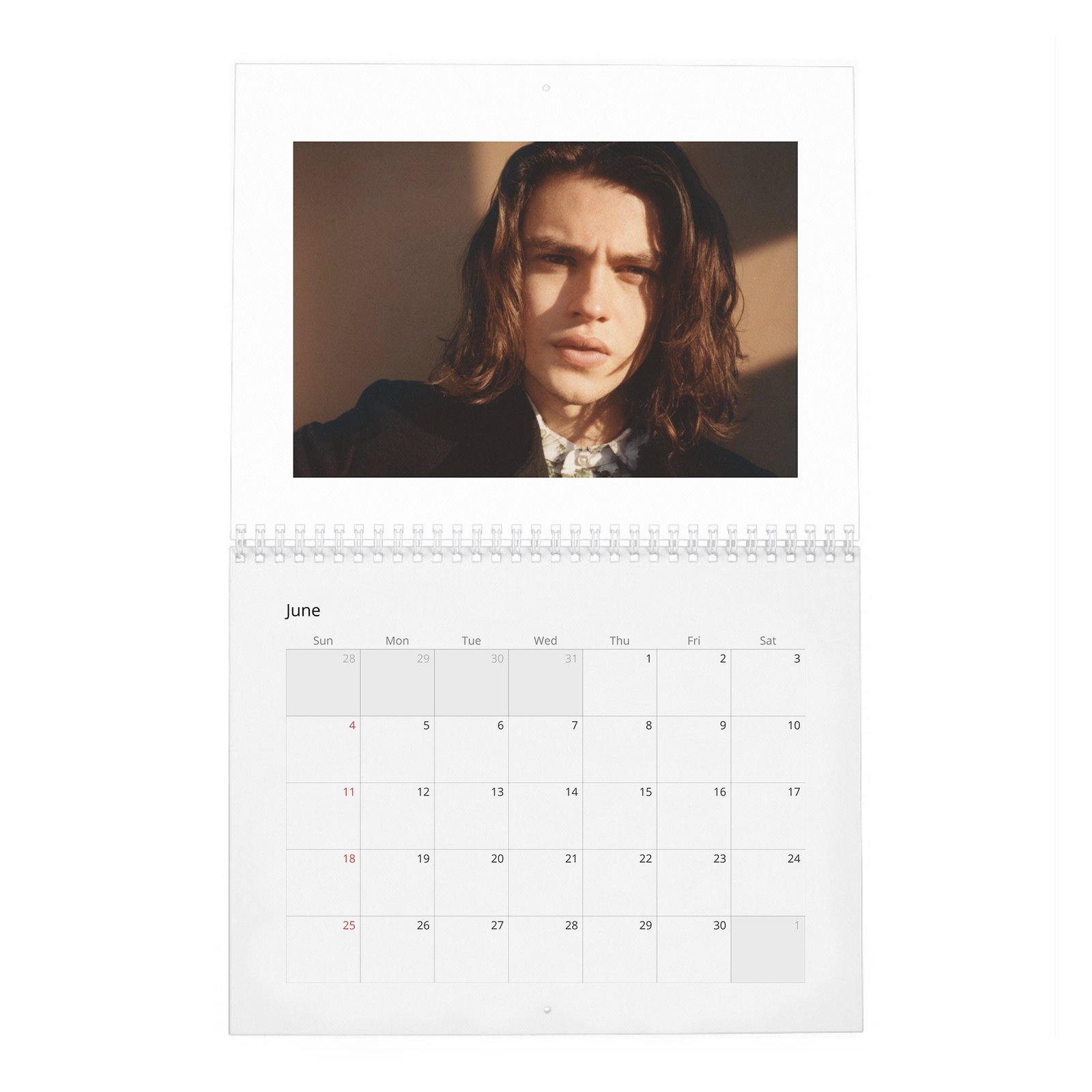 Felix Mallard - Flaunt 2027 Wall Calendar