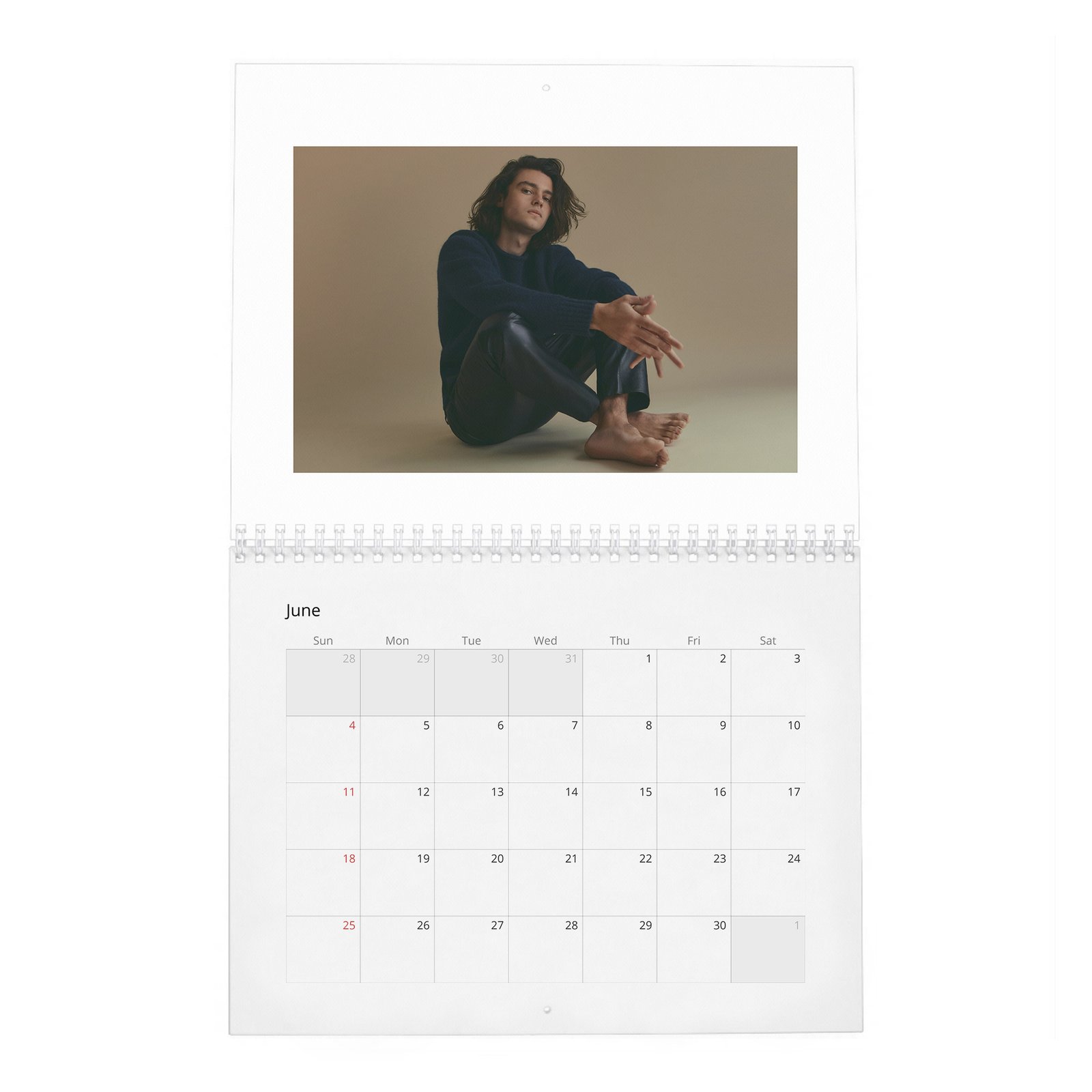 06 Felix Mallard - Move Slowly 2027 Wall Calendar