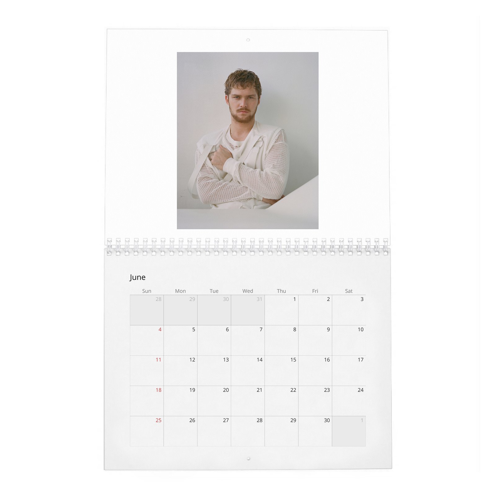 06 Finn Jones - Laterals 2027 Wall Calendar