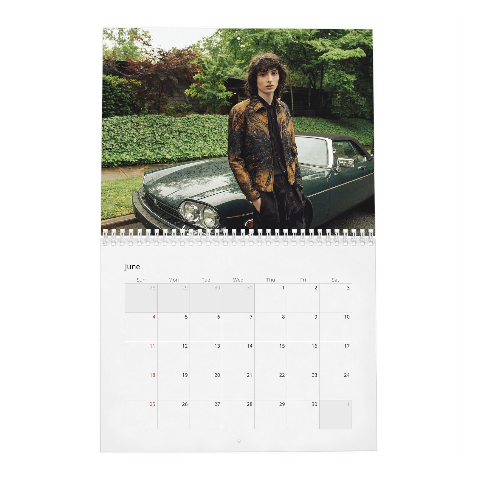 06 Finn Wolfhard - Stranger Teen 2027 Wall Calendar