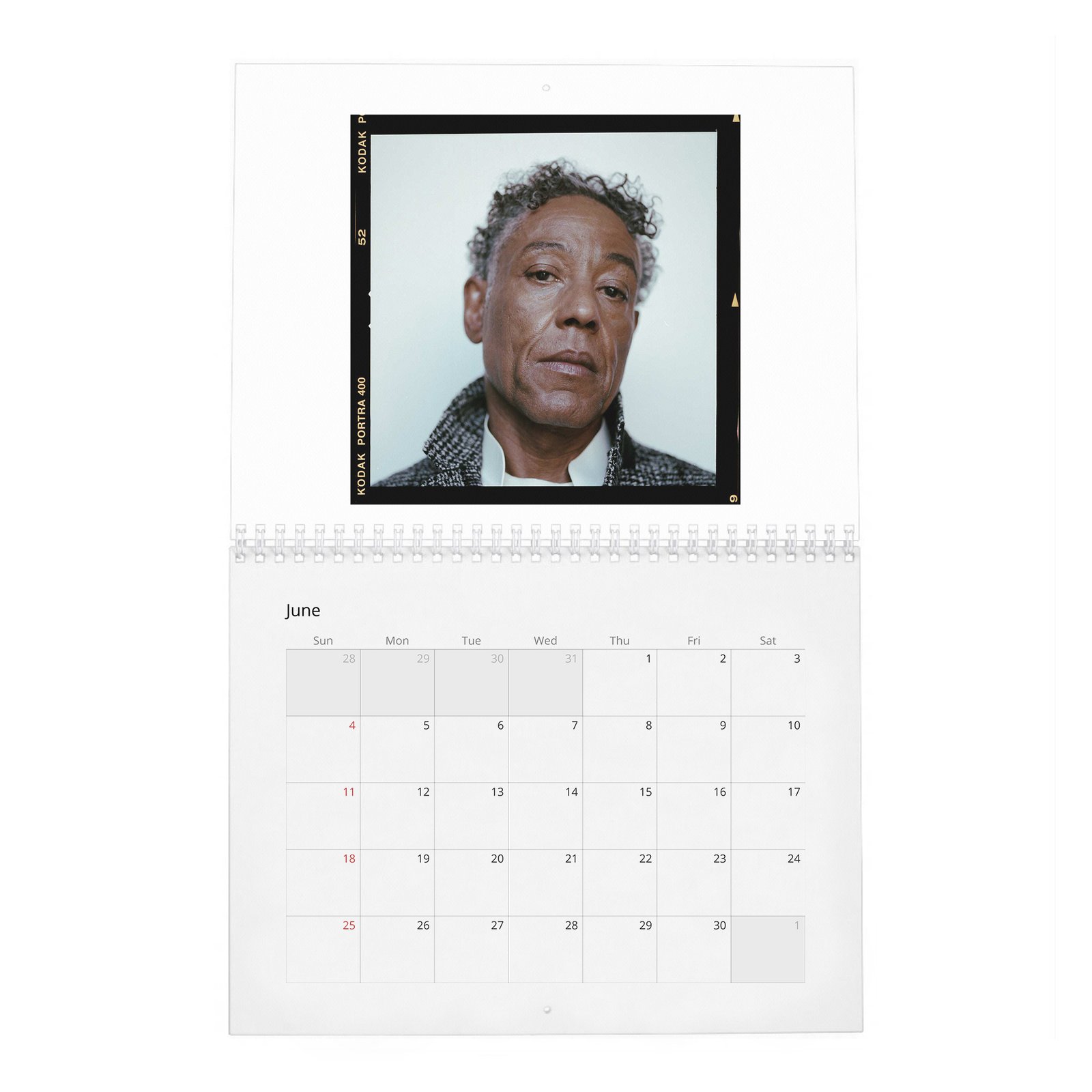 06 Giancarlo Esposito - Rogue 2027 Wall Calendar