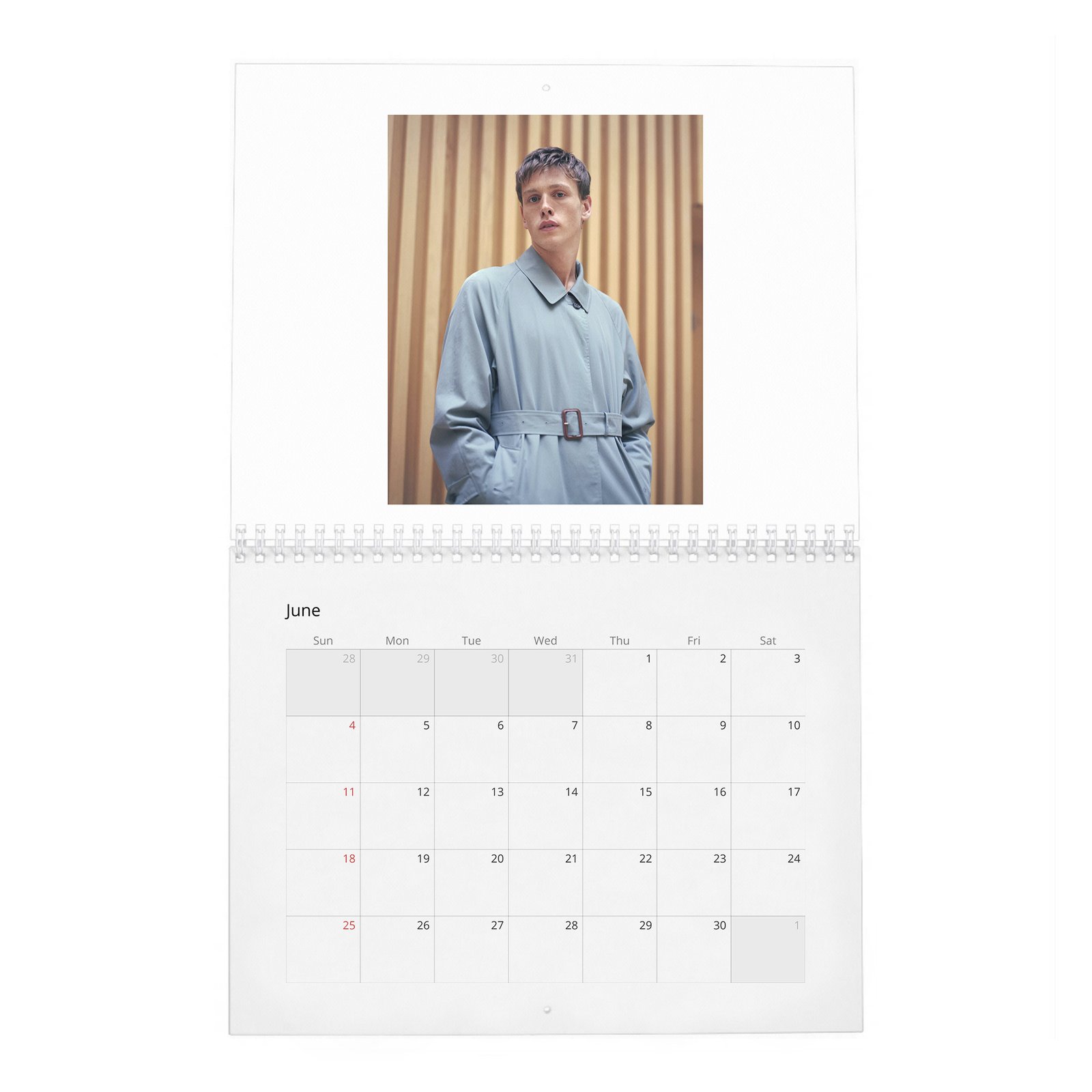 Harris Dickinson - Wonderland 2027 Wall Calendar