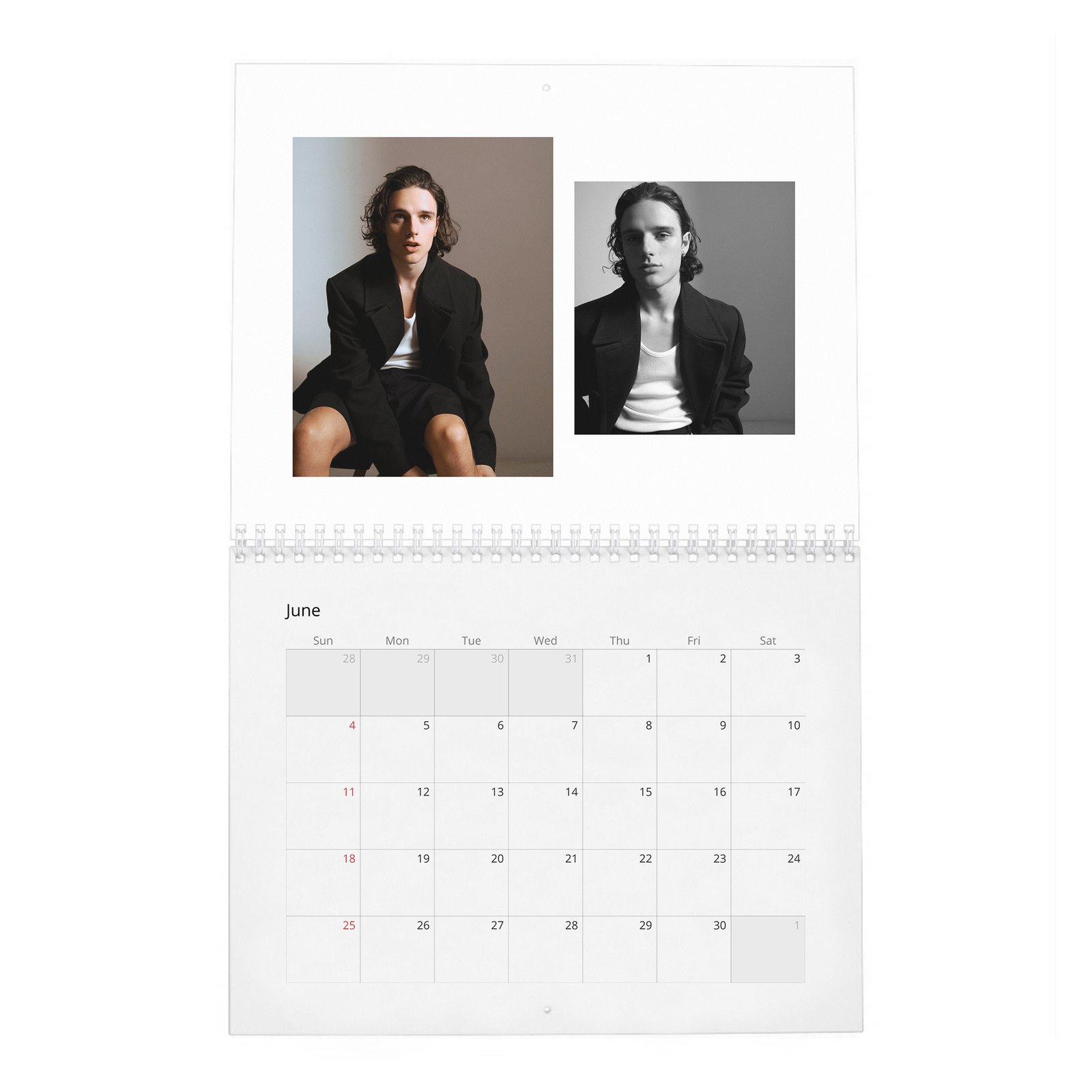 Harry Collett - Fire In The Belly 2027 Wall Calendar