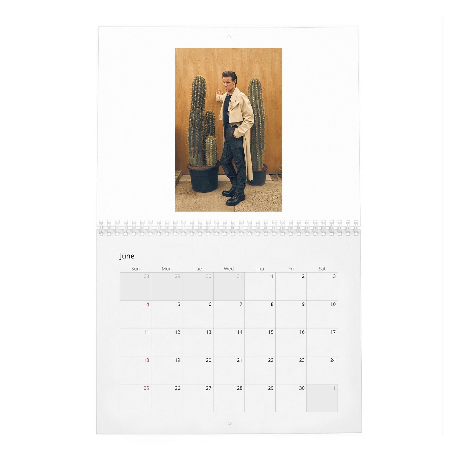 06 Matt Smith - Flaunt 2027 Wall Calendar