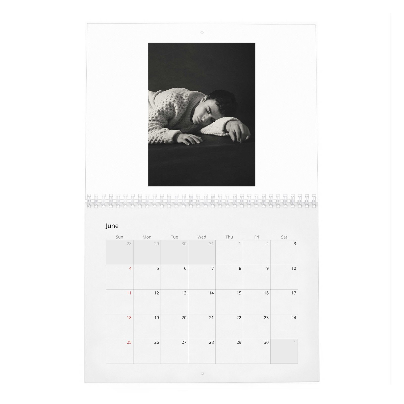 Itzan Escamilla - The Cold And Impenetrable Face 2027 Wall Calendar