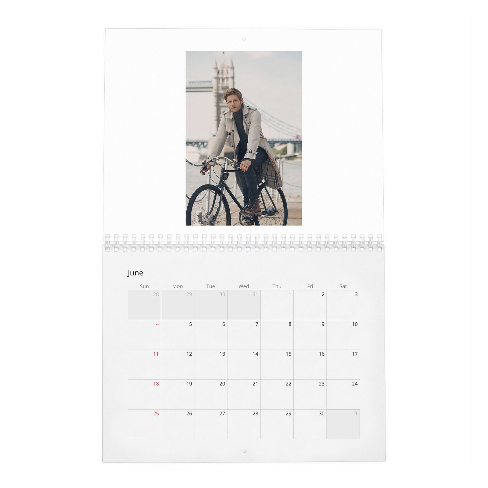 James Franco - The Real 2027 Wall Calendar