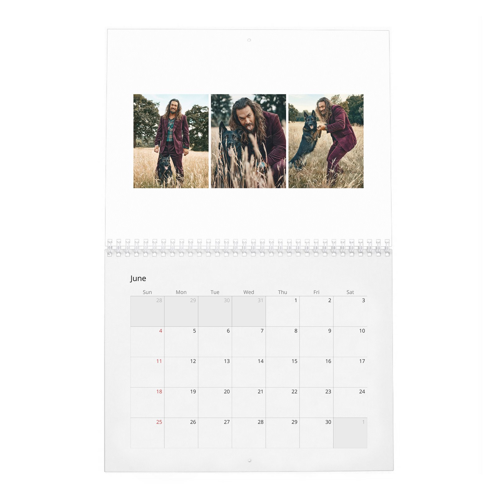 06 Jason Momoa - New Tricks 2027 Wall Calendar