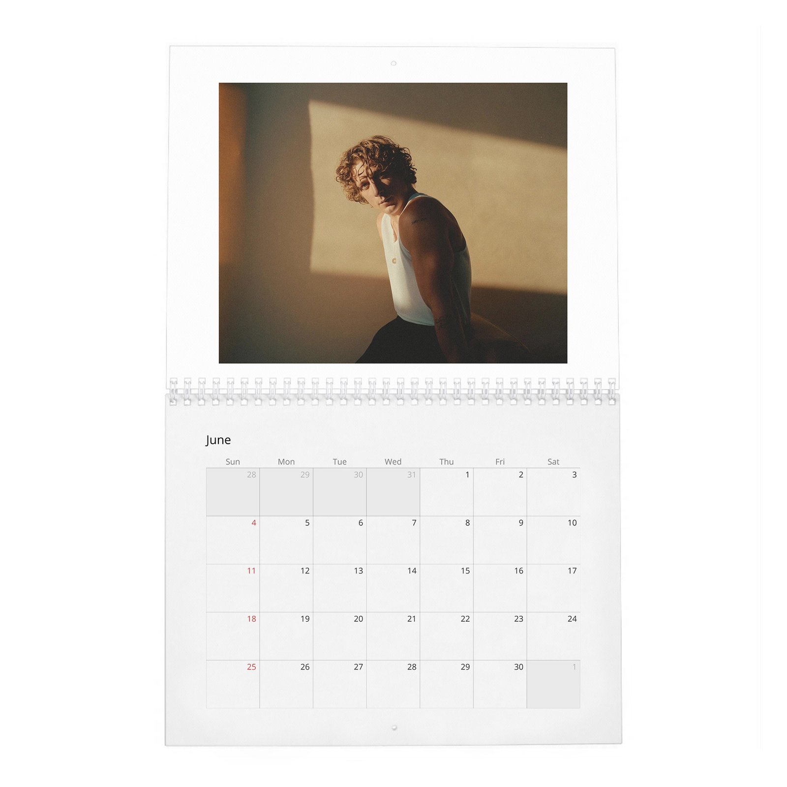 Jeremy Allen White - Yes Chef 2027 Wall Calendar