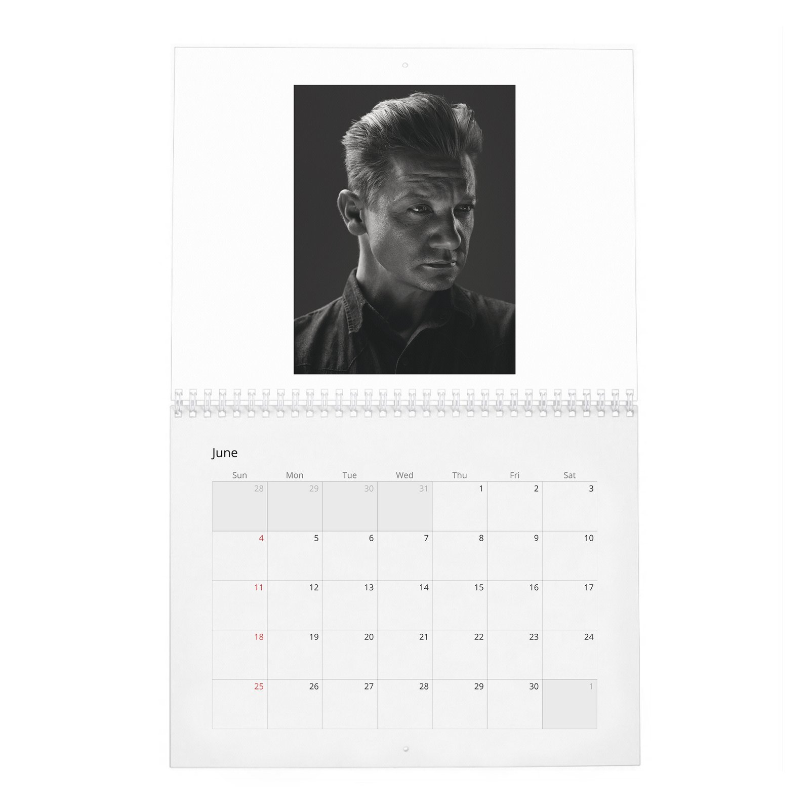 06 Jeremy Renner - On A Man's New Place In The World 2027 Wall Calendar