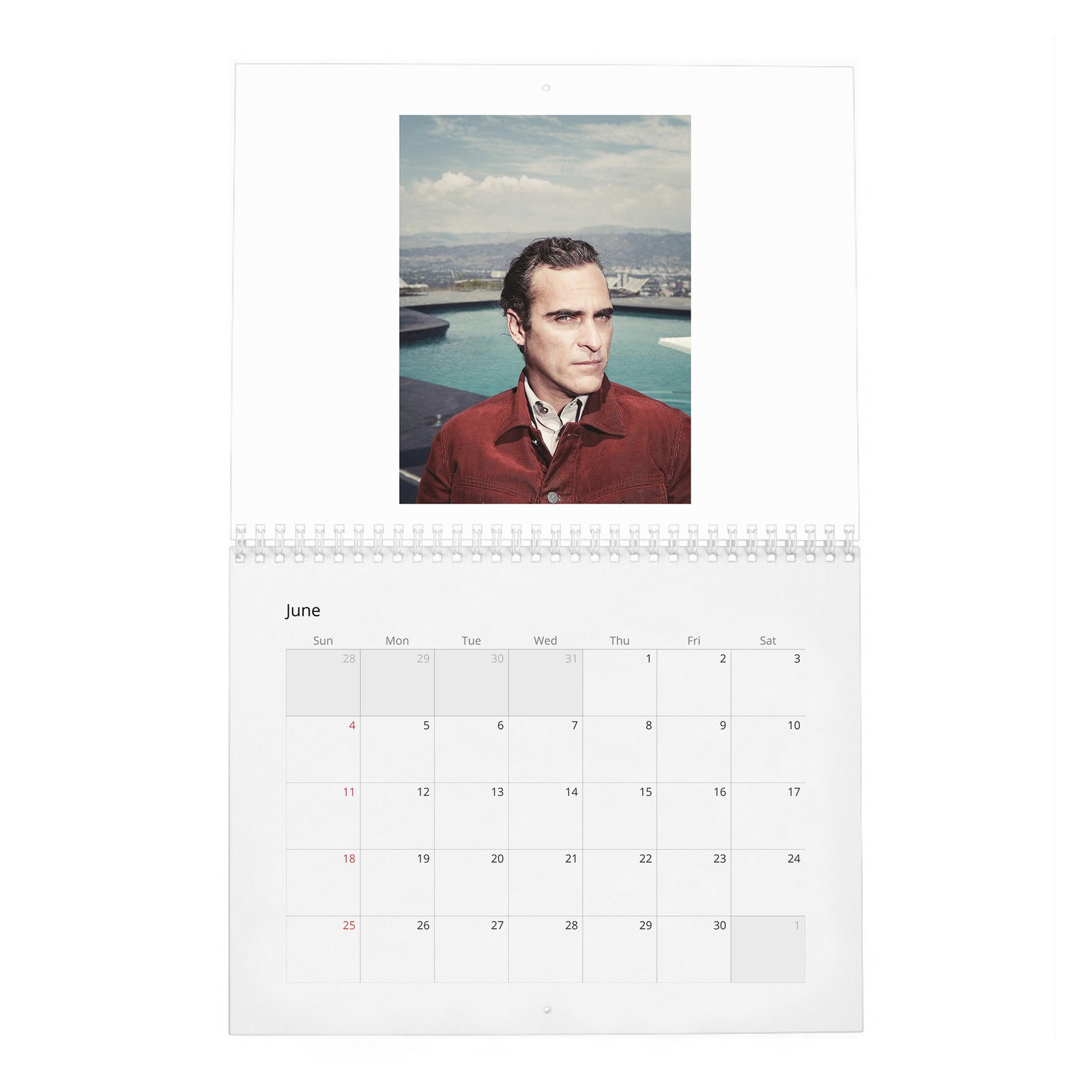 06 Joaquin Phoenix - Hollywood Rebel 2027 Wall Calendar