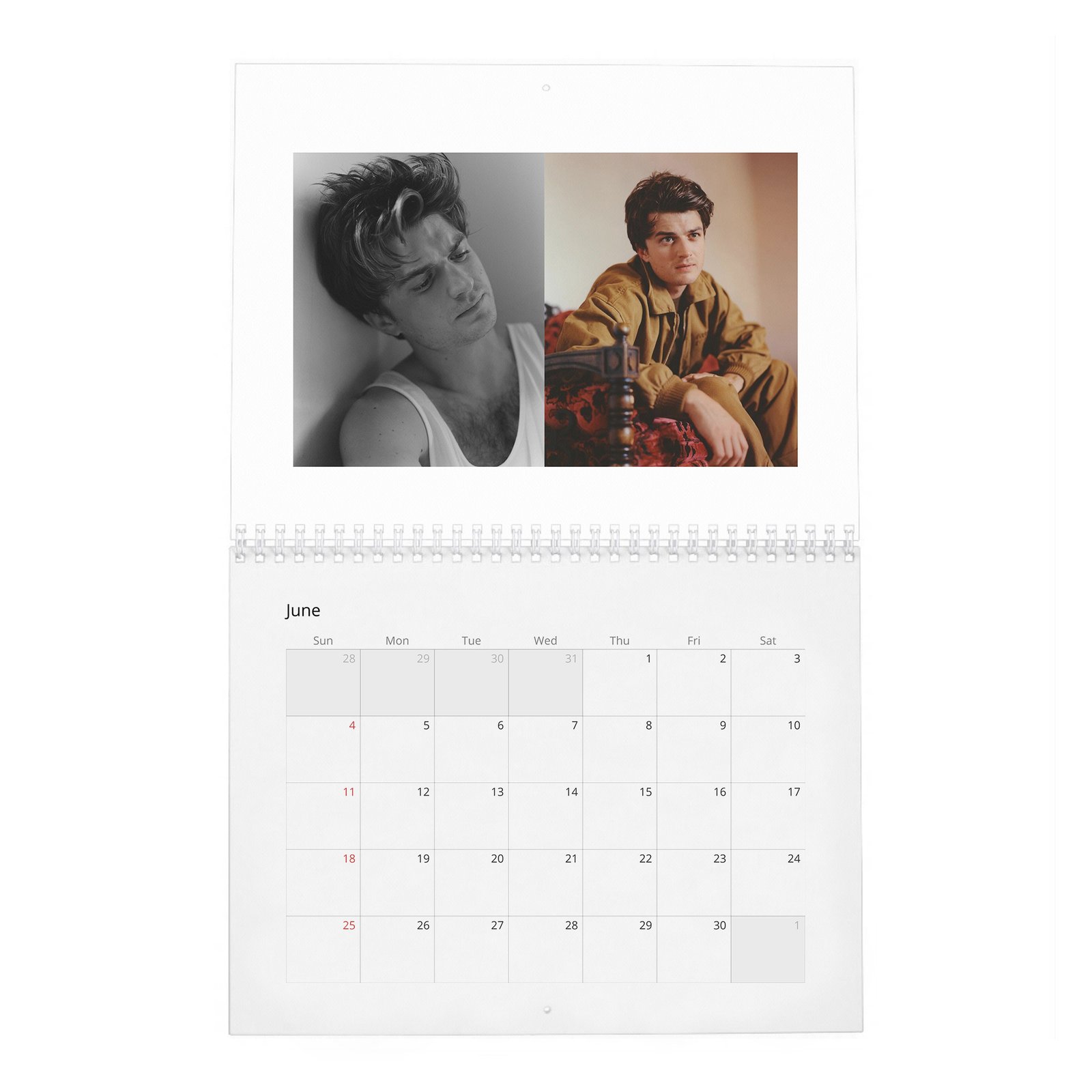 Joe Keery - Levels Up 2027 Wall Calendar